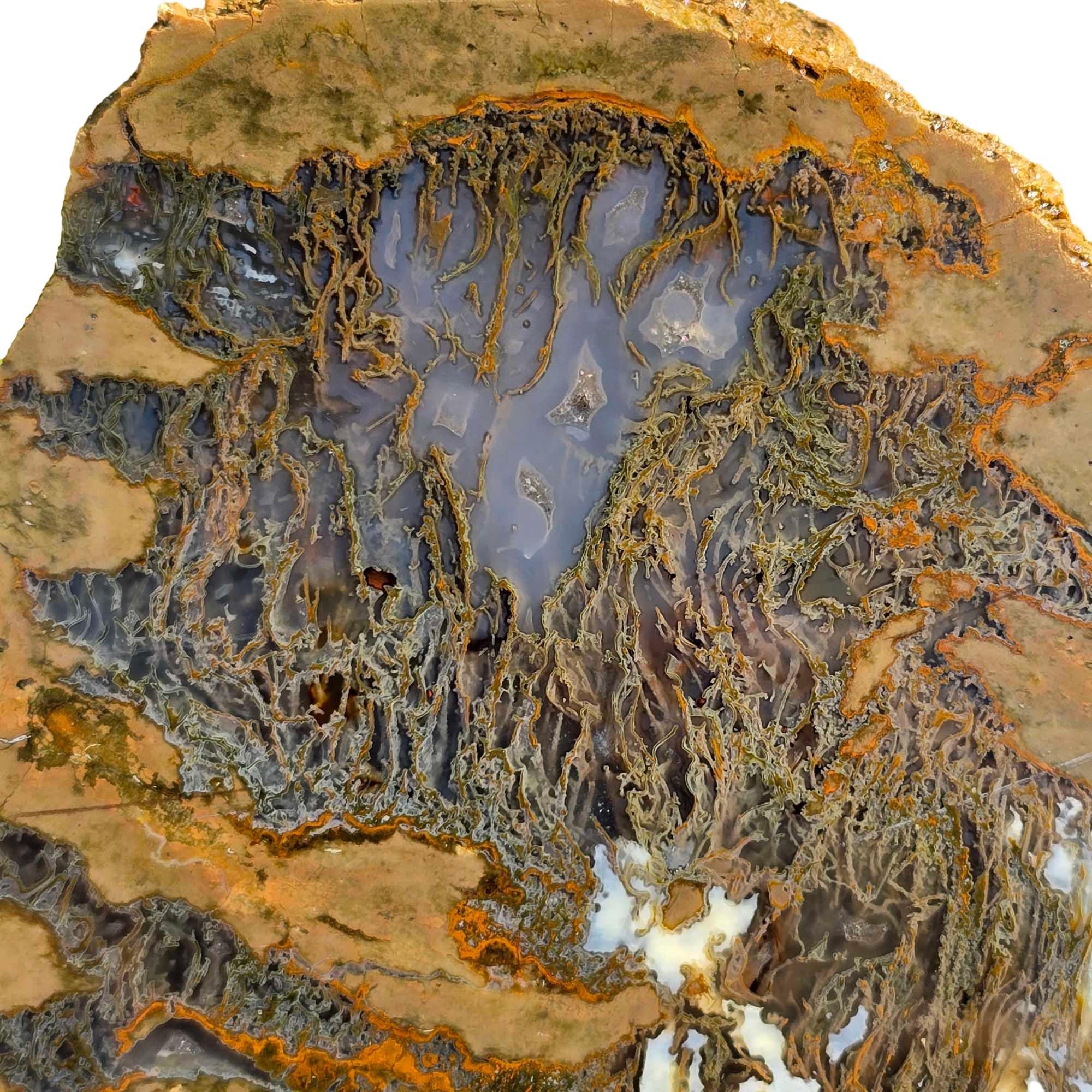 Moss Bed Thunderegg Cut and Proven Chunk Moss and Agate Highlights