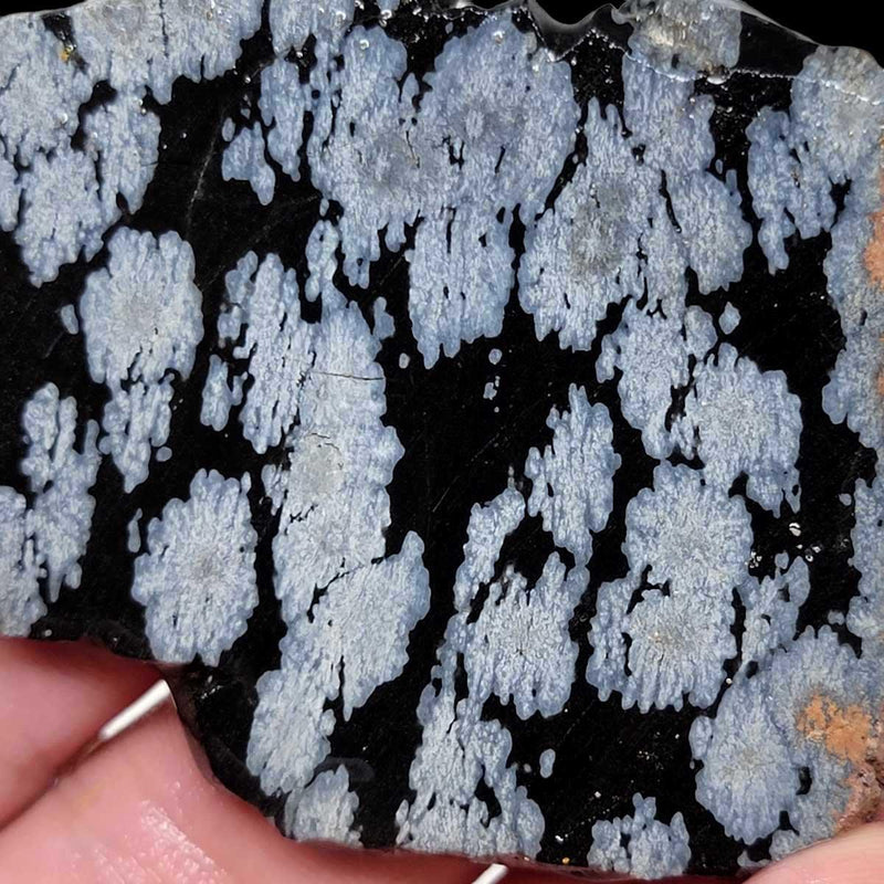 Snowflake Obsidian Slab!  Lapidary Stone Slab! - LapidaryCentral
