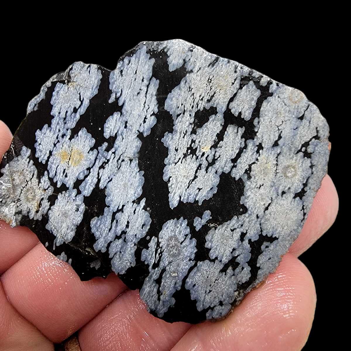 Snowflake Obsidian Slab!  Lapidary Stone Slab! - LapidaryCentral