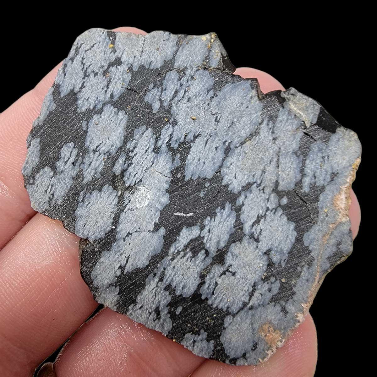 Snowflake Obsidian Slab!  Lapidary Stone Slab! - LapidaryCentral