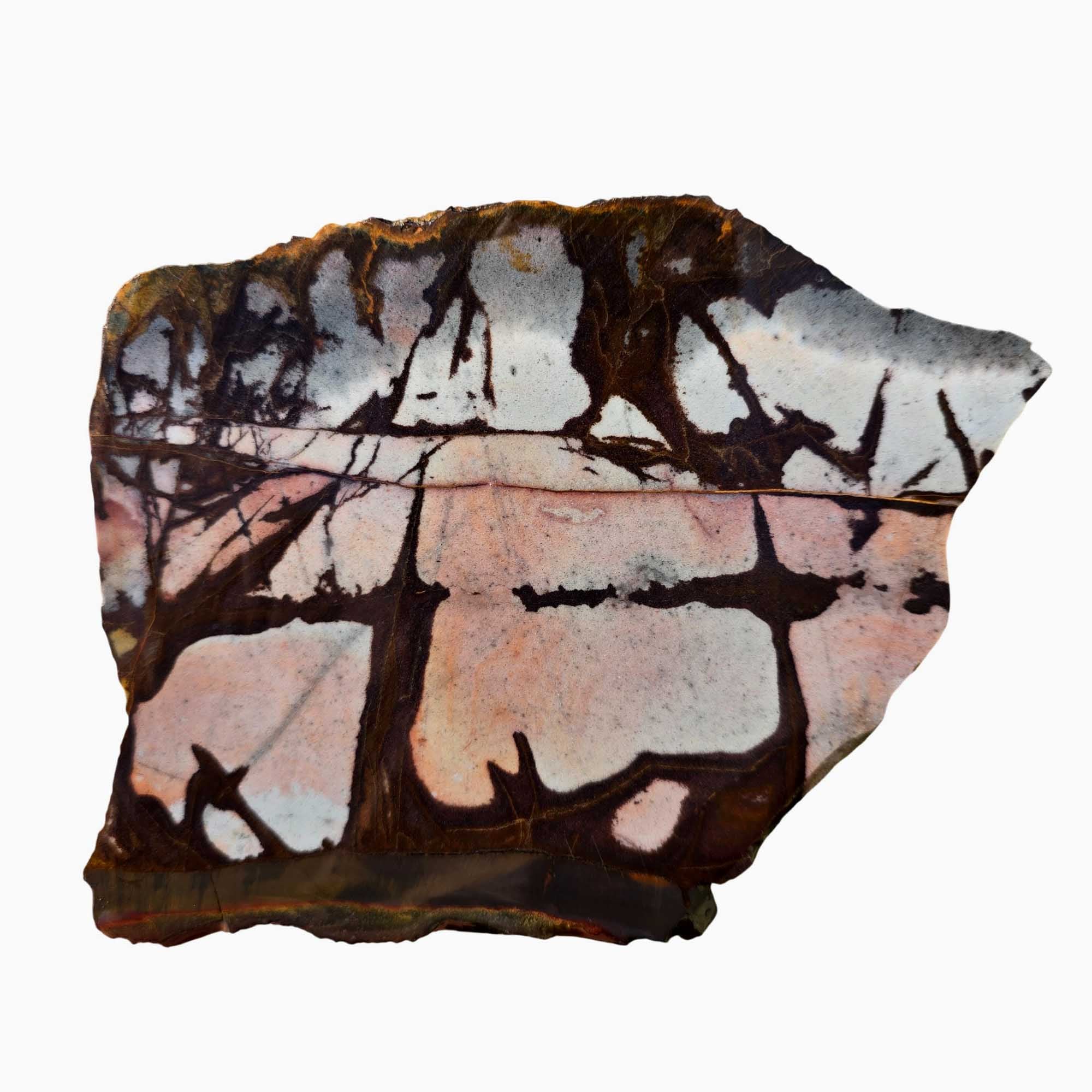 Outback Jasper Slab – Sunset Colors Dendritic Pattern – Western Australia