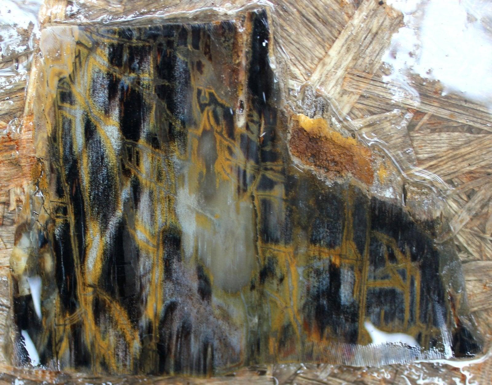 Mystery estate petrified wood slab! stunning!!!! - LapidaryCentral