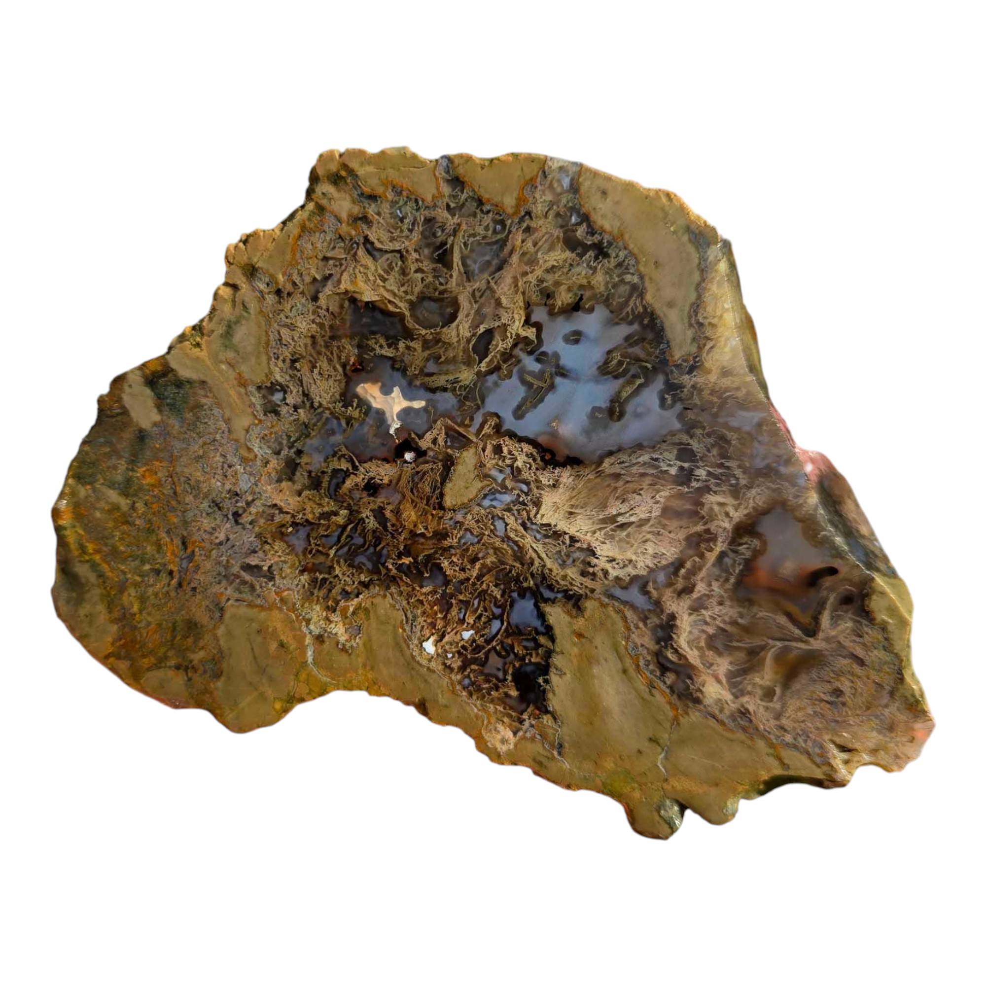 Priday Moss Bed Thunderegg – Cut and Proven – Blue Agate Streamer Moss