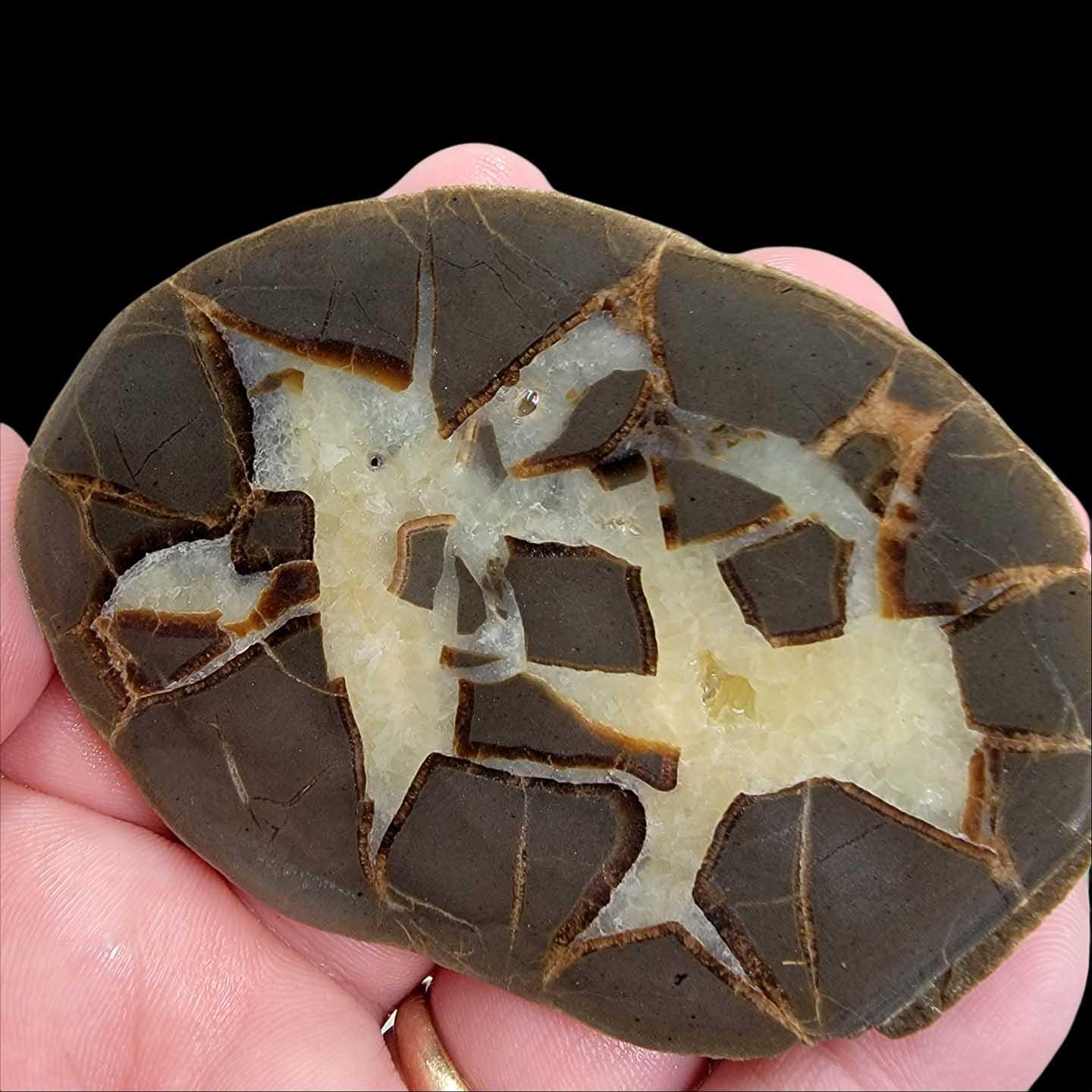 Septarian Nodule Slab!  Lapidary Stone Slab! - LapidaryCentral