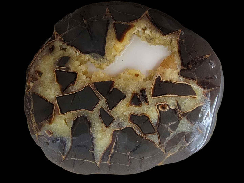 Septarian Nodule Slab!  Lapidary Stone Slab! - LapidaryCentral