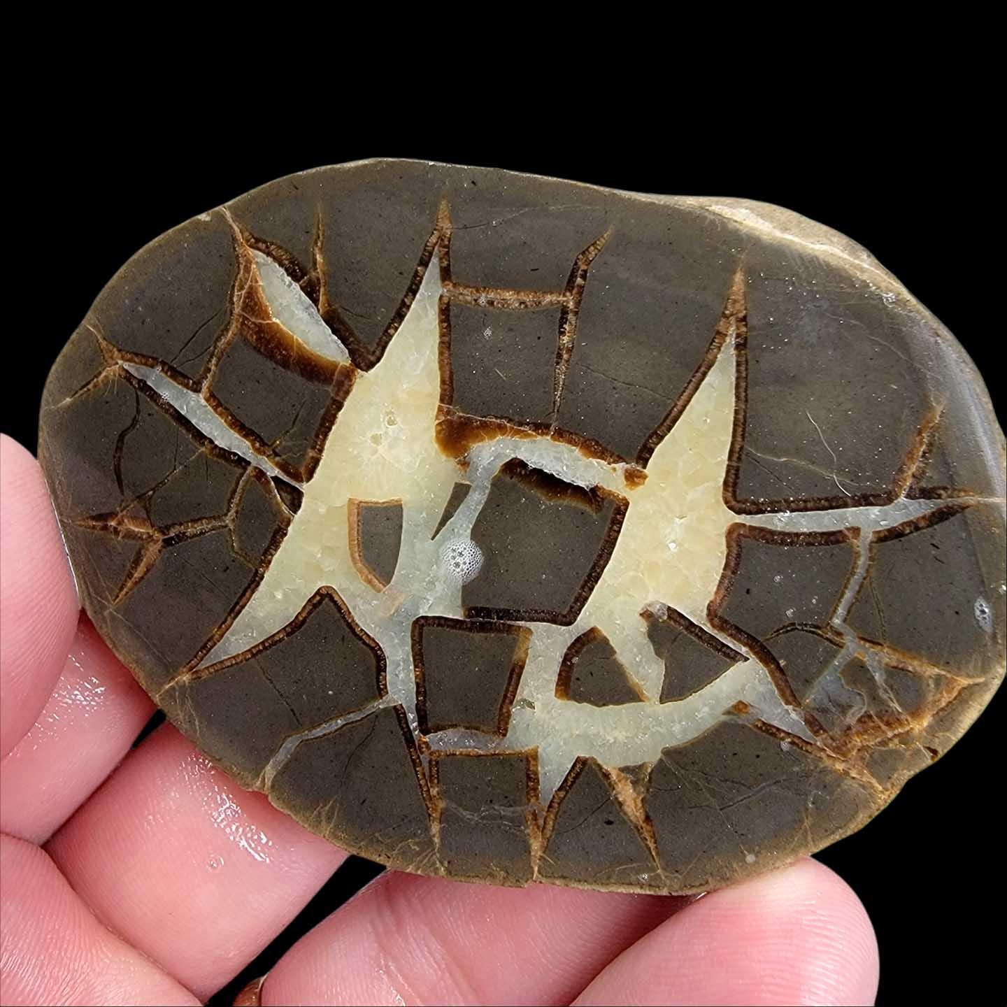 Septarian Nodule Slab!  Lapidary Stone Slab! - LapidaryCentral