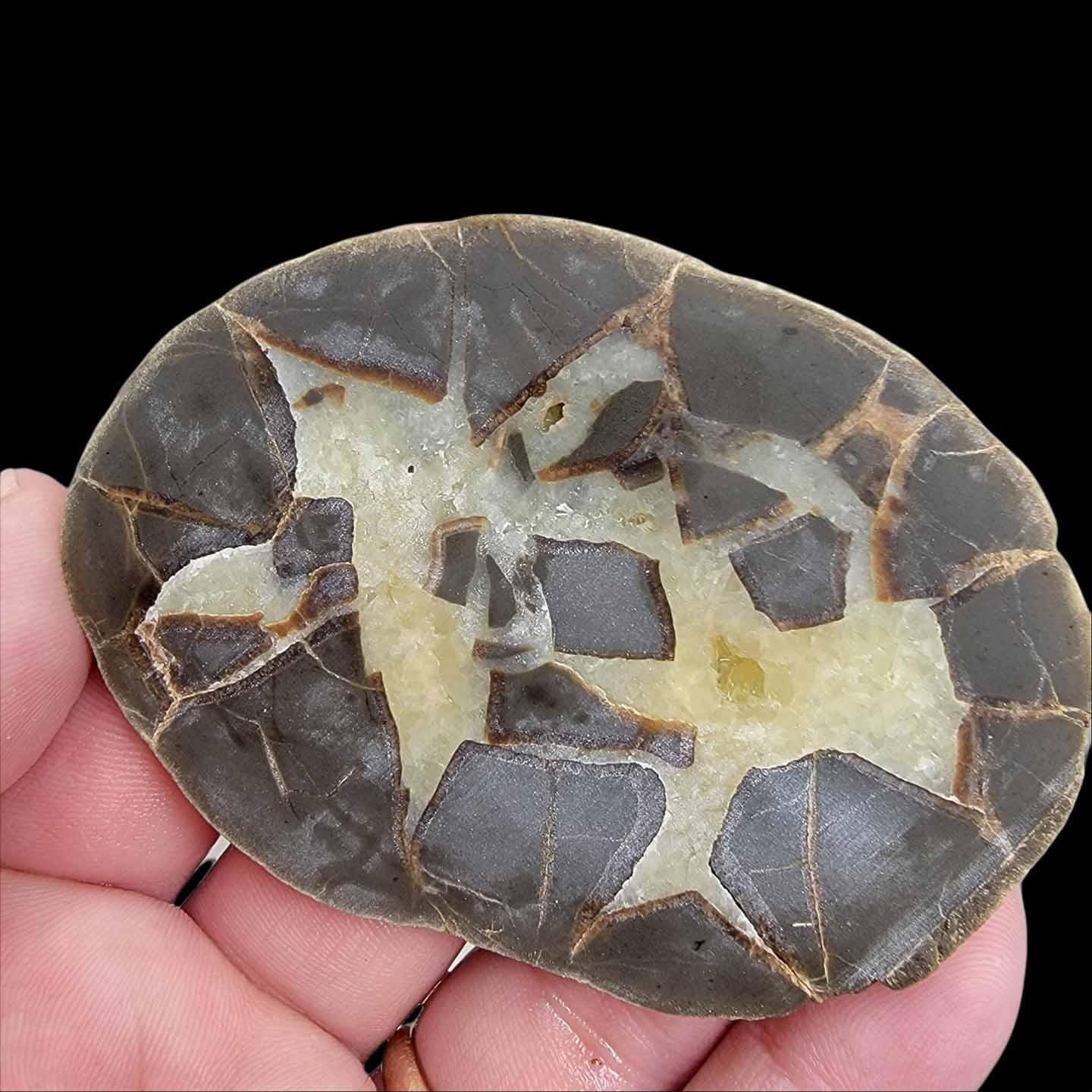 Septarian Nodule Slab!  Lapidary Stone Slab! - LapidaryCentral