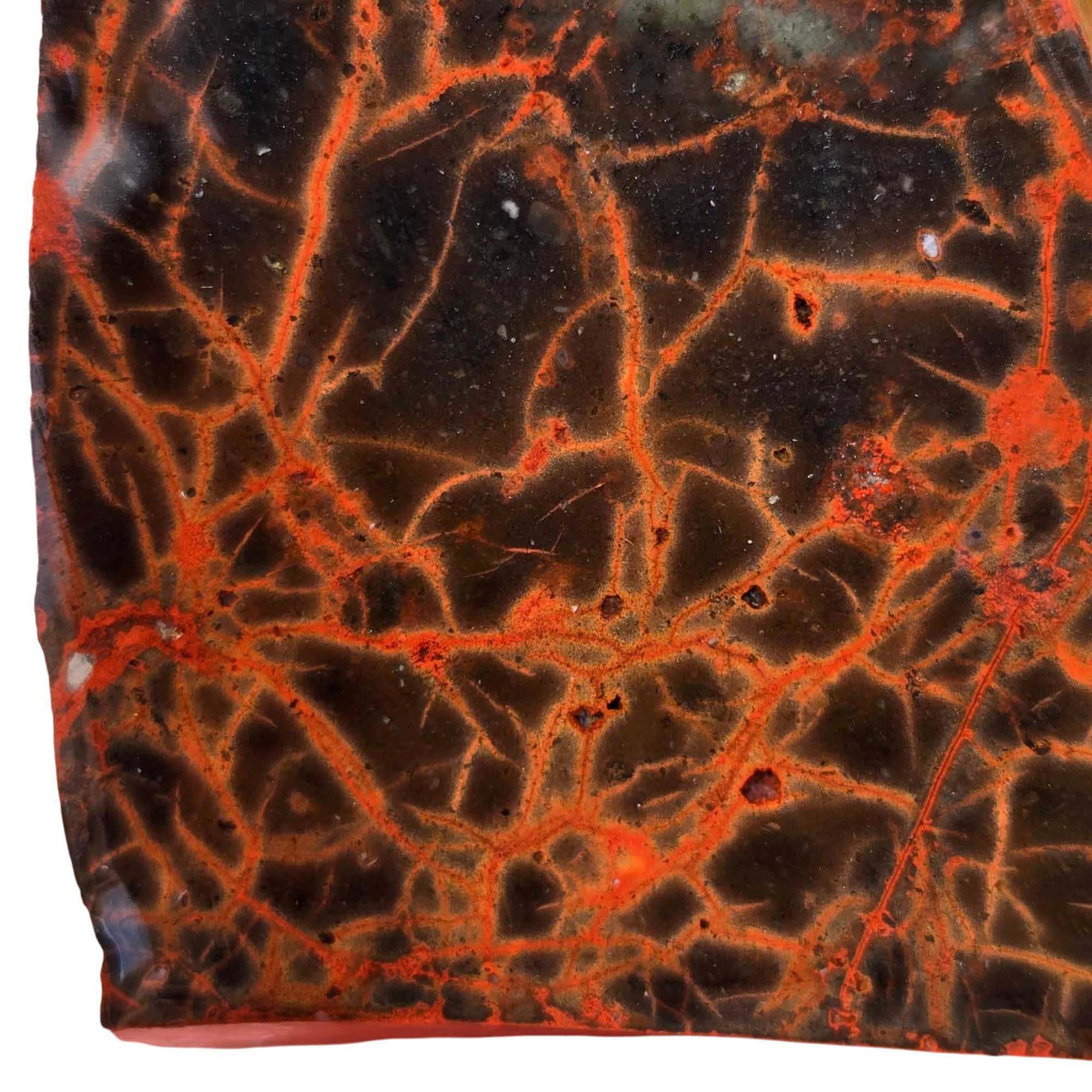 Spiderman Jasper Slab – Iconic Spiderweb Pattern – Owyhee Mountains Oregon