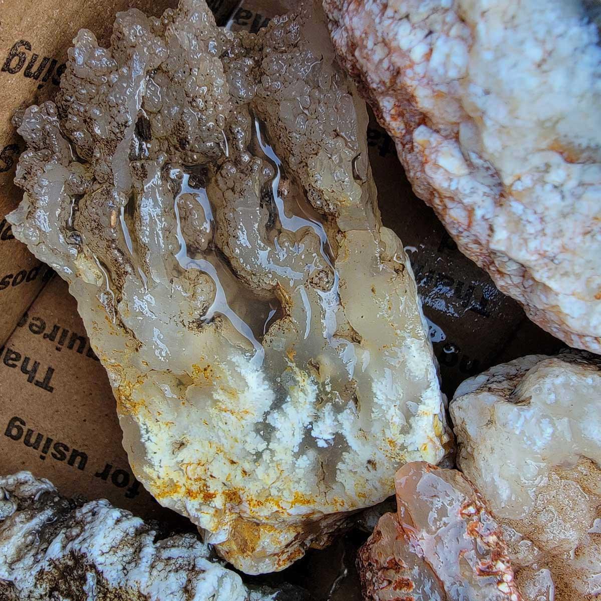 Old Stock Stinking Water Plume Agate Cutting Rough Flatrate! - LapidaryCentral