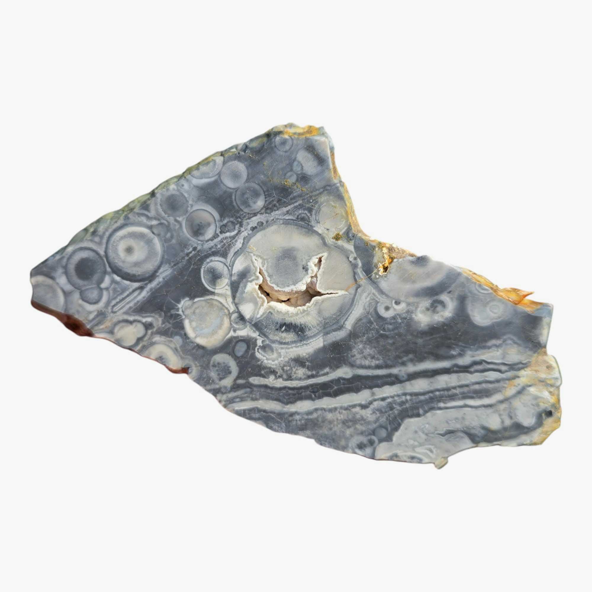 Galaxy Galactica Rhyolite Slab Lapidary Stone Slice Cut Rock
