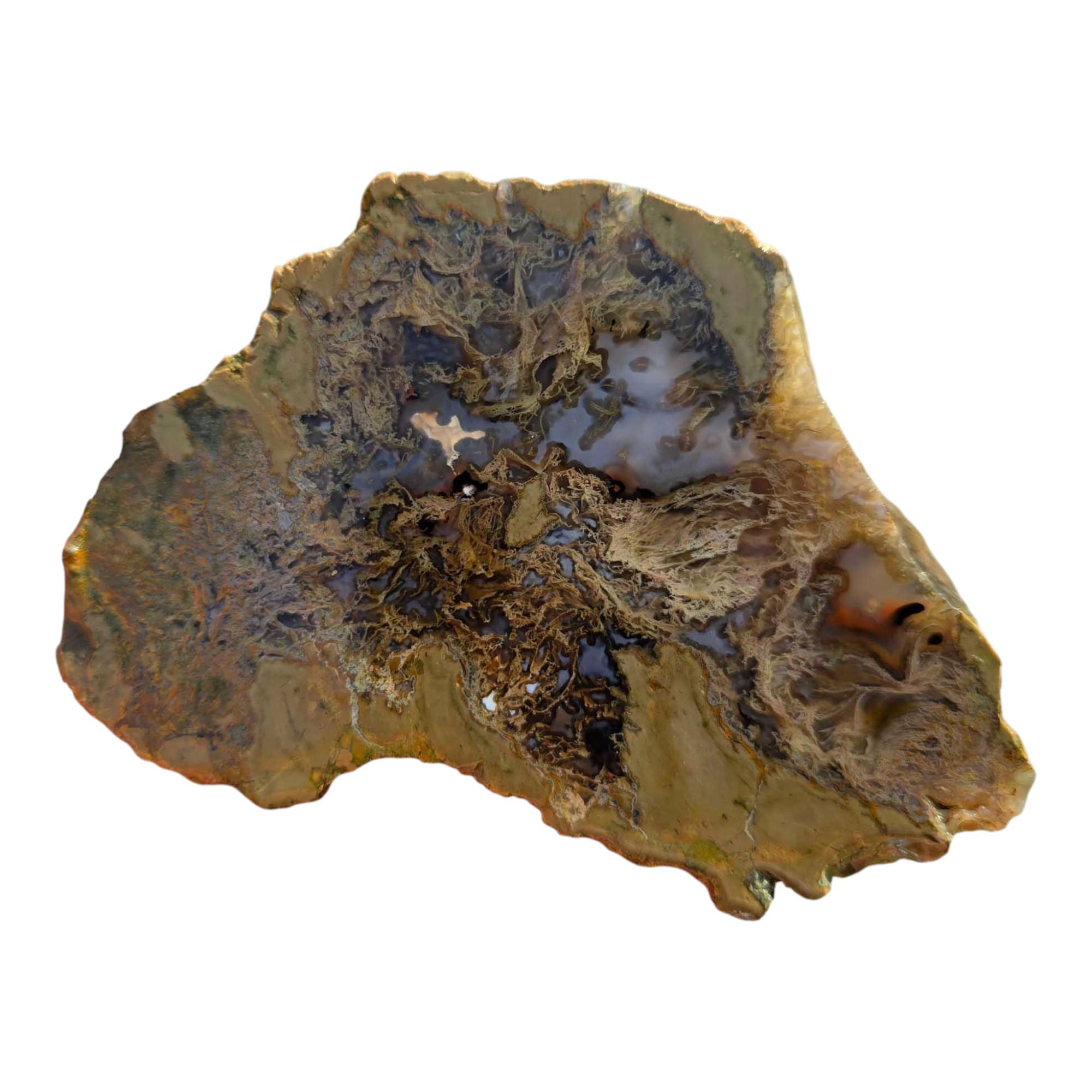 Priday Moss Bed Thunderegg – Cut and Proven – Blue Agate Streamer Moss