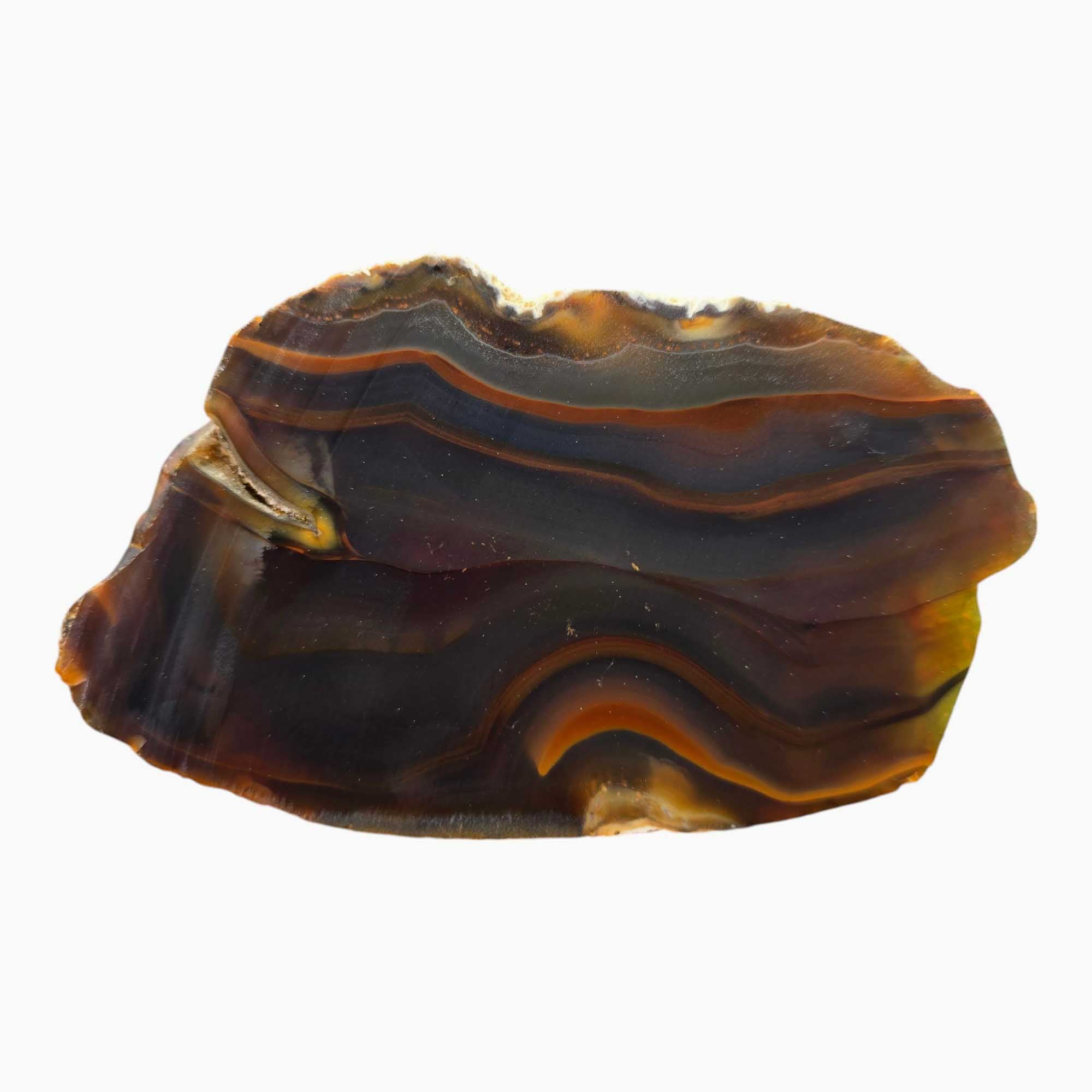 Piranha Brazilian Agate Lapidary Cutting Rough Chunk Stone Cut Face