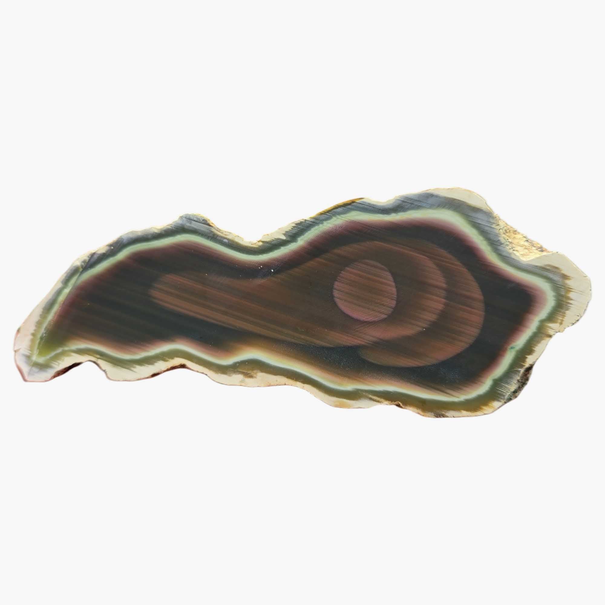 Royal Imperial Jasper Cut and Proven - High Grade Orbicular Scene Specimen
