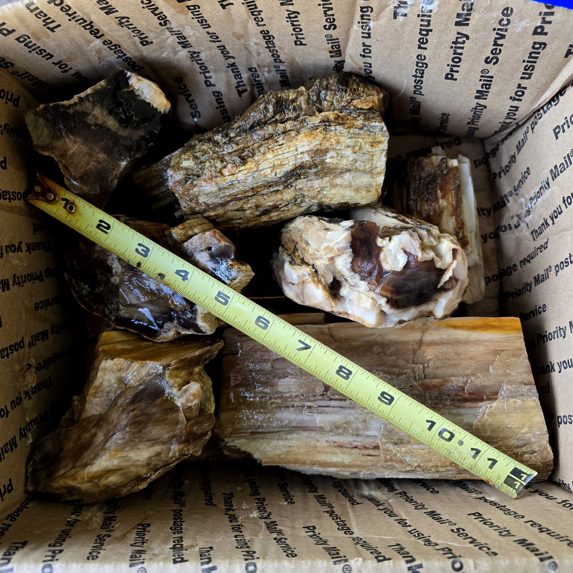 Saddle Mountain Petrified Wood Rough – Authentic Bark Grain Detail #F360-9