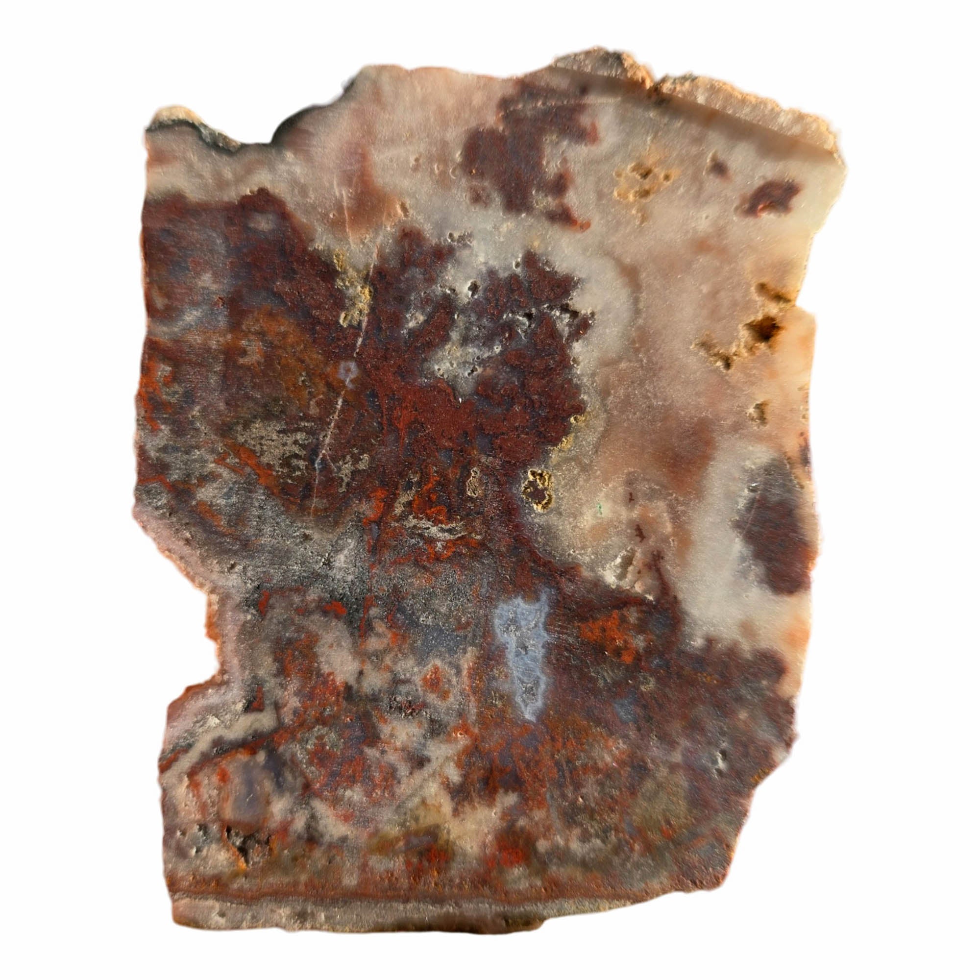 Apple Valley Agate Slab Dry – Red Moss Plume Pattern Sahara Desert #3760-Photo5