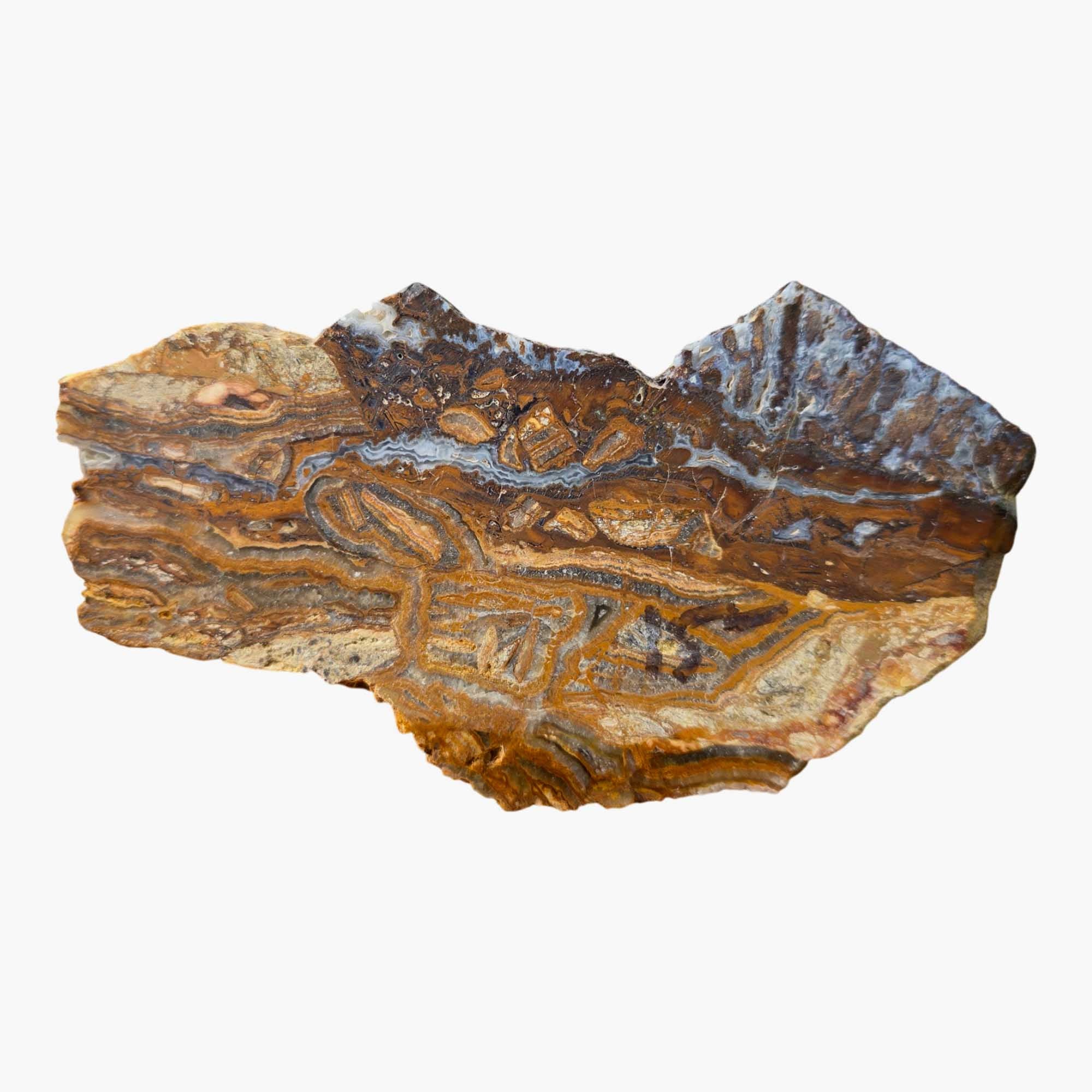 Lysite Agate Slab Dry - Brecciated Blue Wyoming Feldspar Sparkle #3669-Photo5