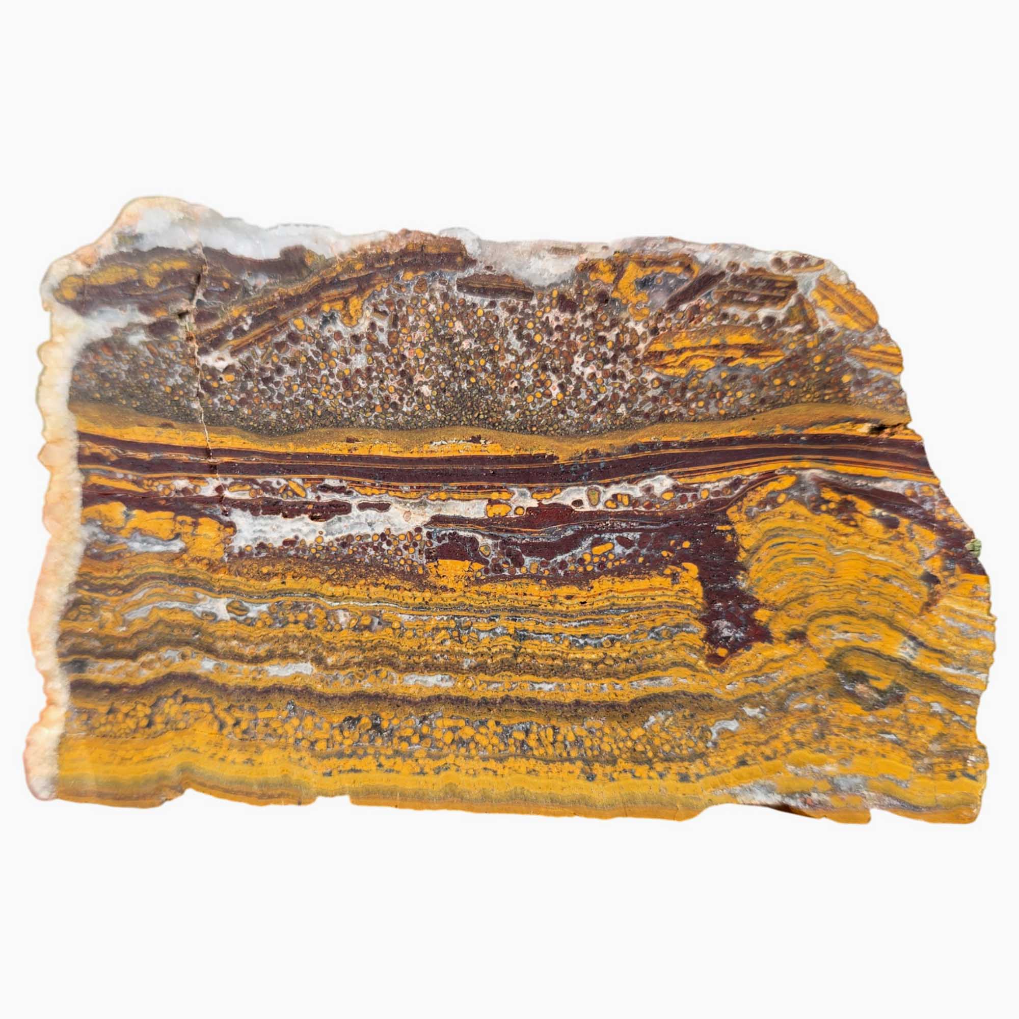 Apple Valley Jasper Slab – Gold Red Oolitic Pattern – Sahara Stromatolite