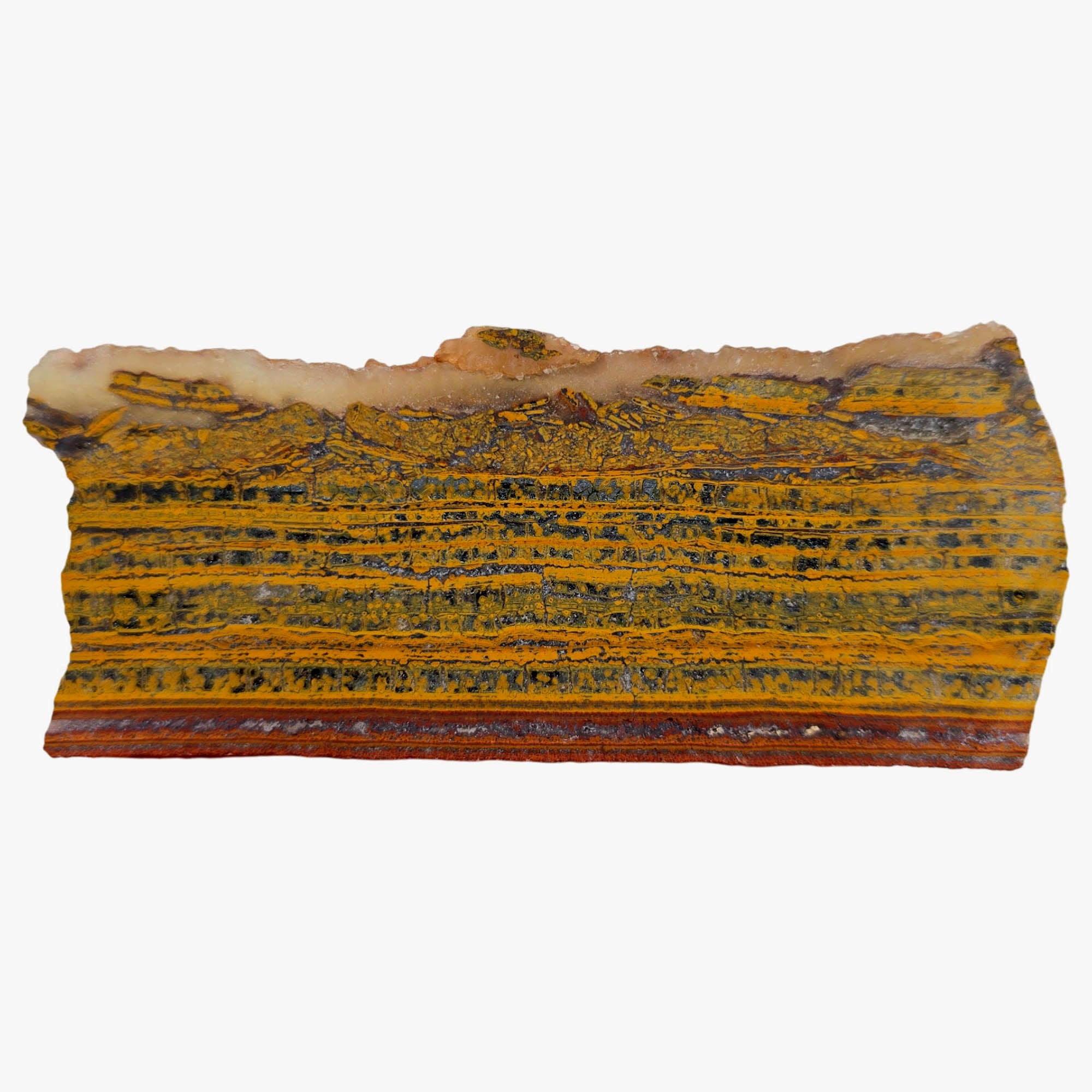 Apple Valley Jasper Slab Dry - Sparkly Stromatolite Colony Formations Sahara #3887-Photo6