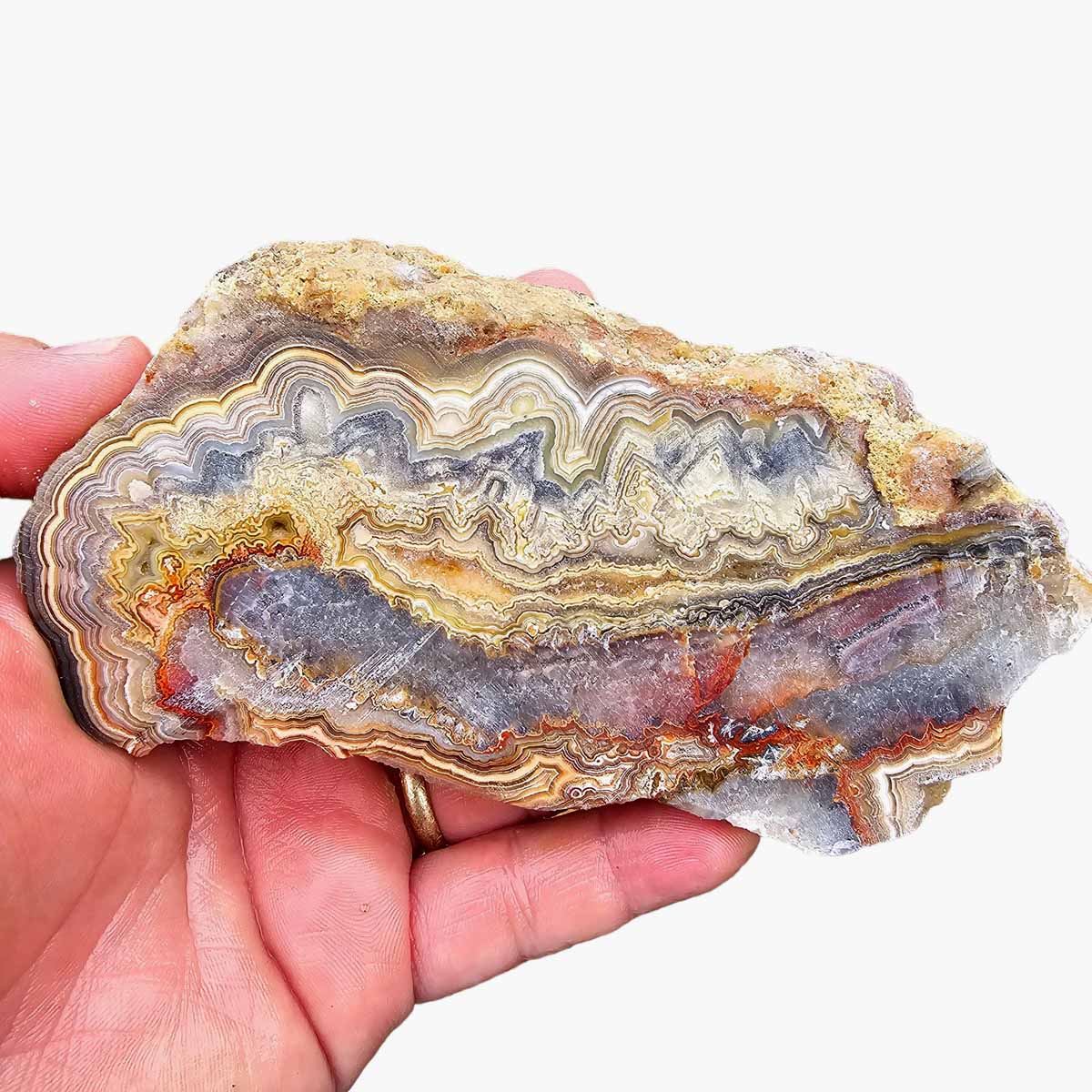 Cut Laguna Lace Agate Cut Rough Chunk