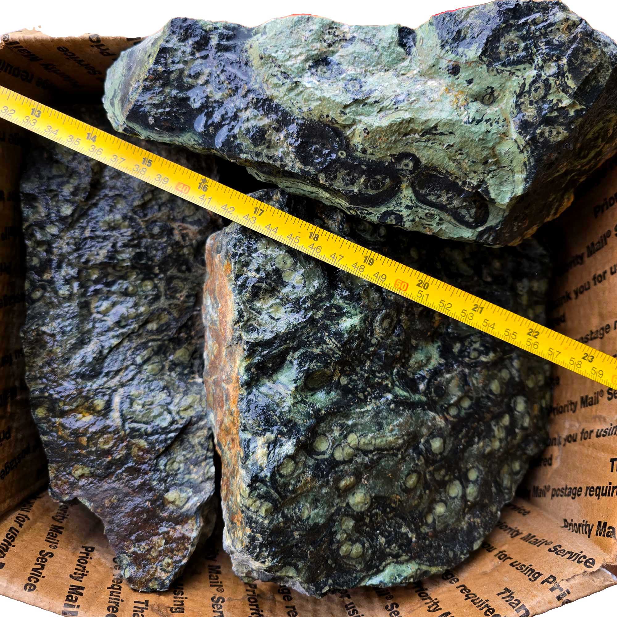 Kambaba Jasper Rough Dry Stone Natural Fractures Cyanobacteria #F357-Photo4