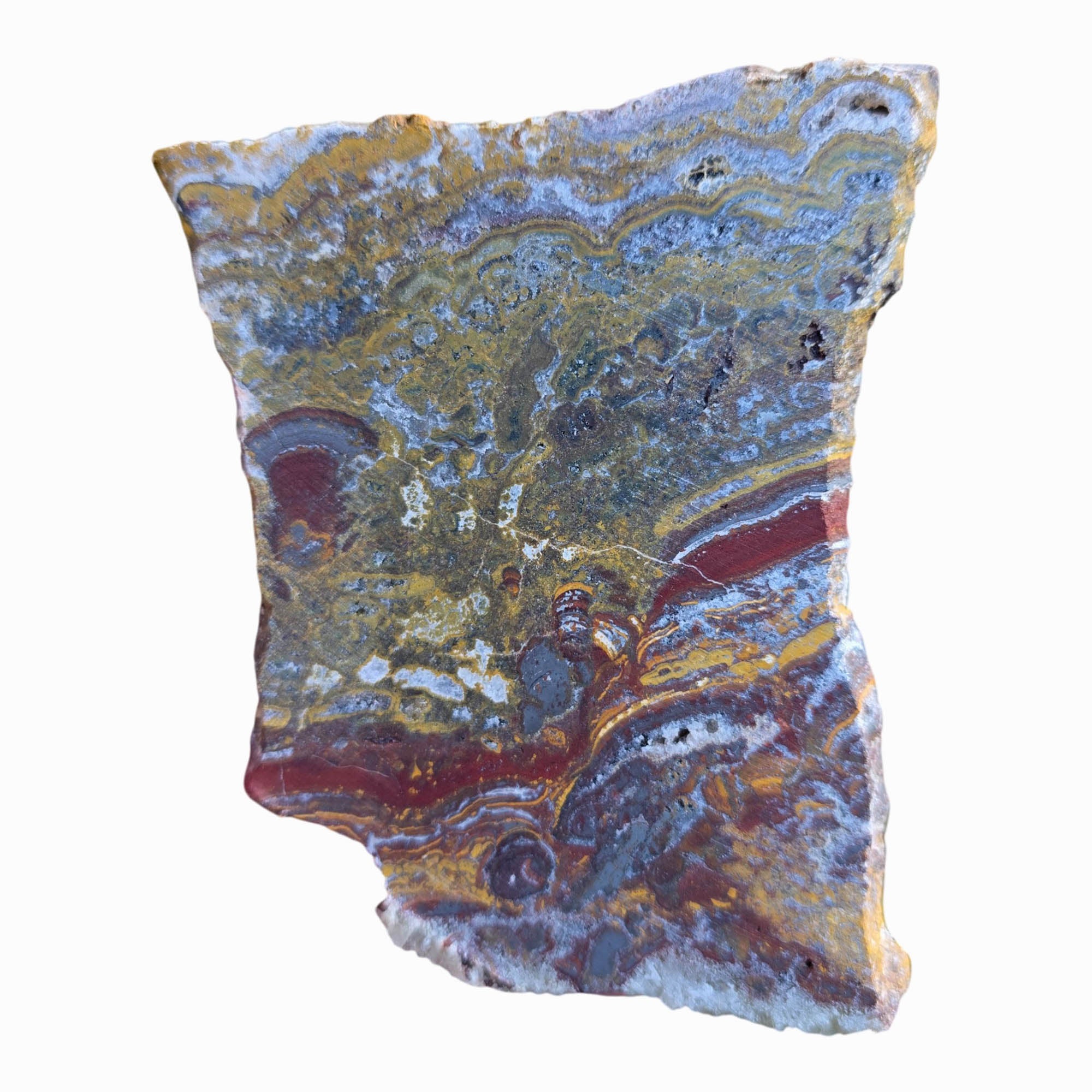 Apple Valley Jasper Slab Dry – Hematite Flowers Stromatolite Fossil Detail #3798-Photo8