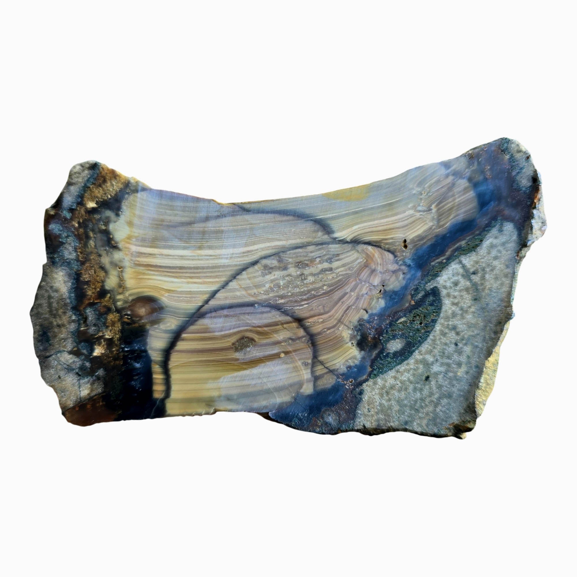 Blue Mountain Jasper Slab Dry - Stacked Orbs Paintbrush Pattern #3800-Photo6