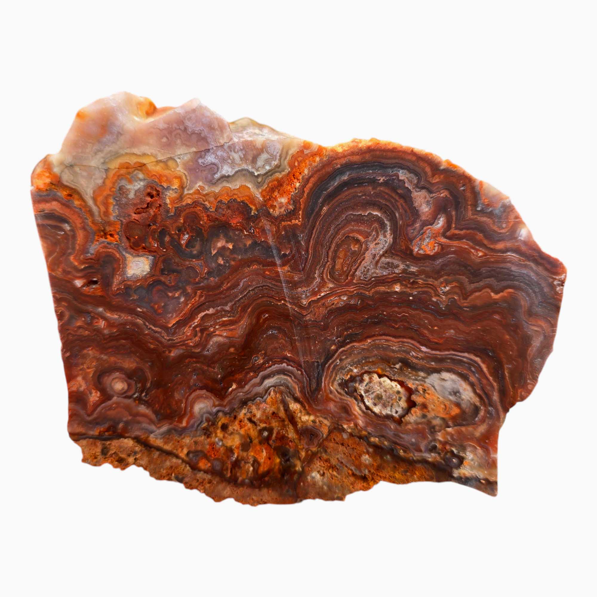 Fire Horizon Lace Agate Lapidary Cutting Rough Chunk Stone Cut Face