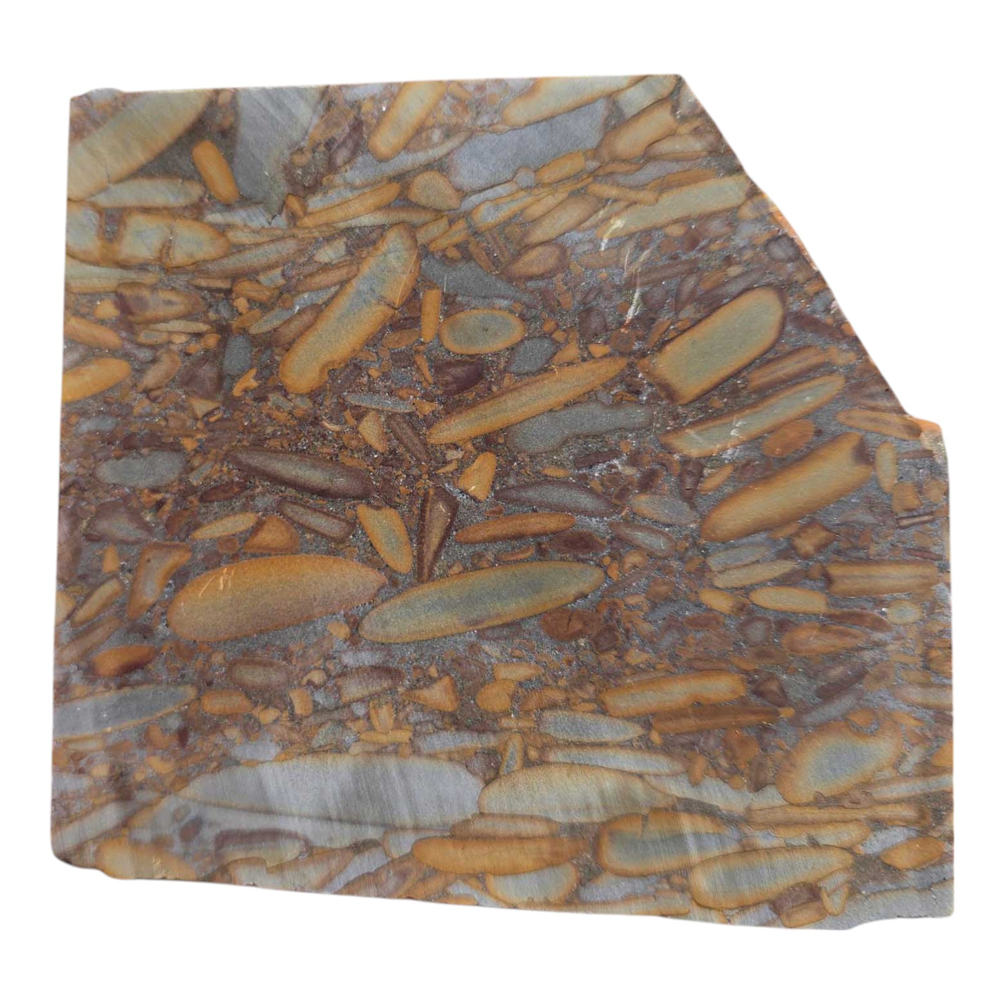 Bamboo Jasper Slab – Indonesian Picture Jasper for Lapidary or Art Display