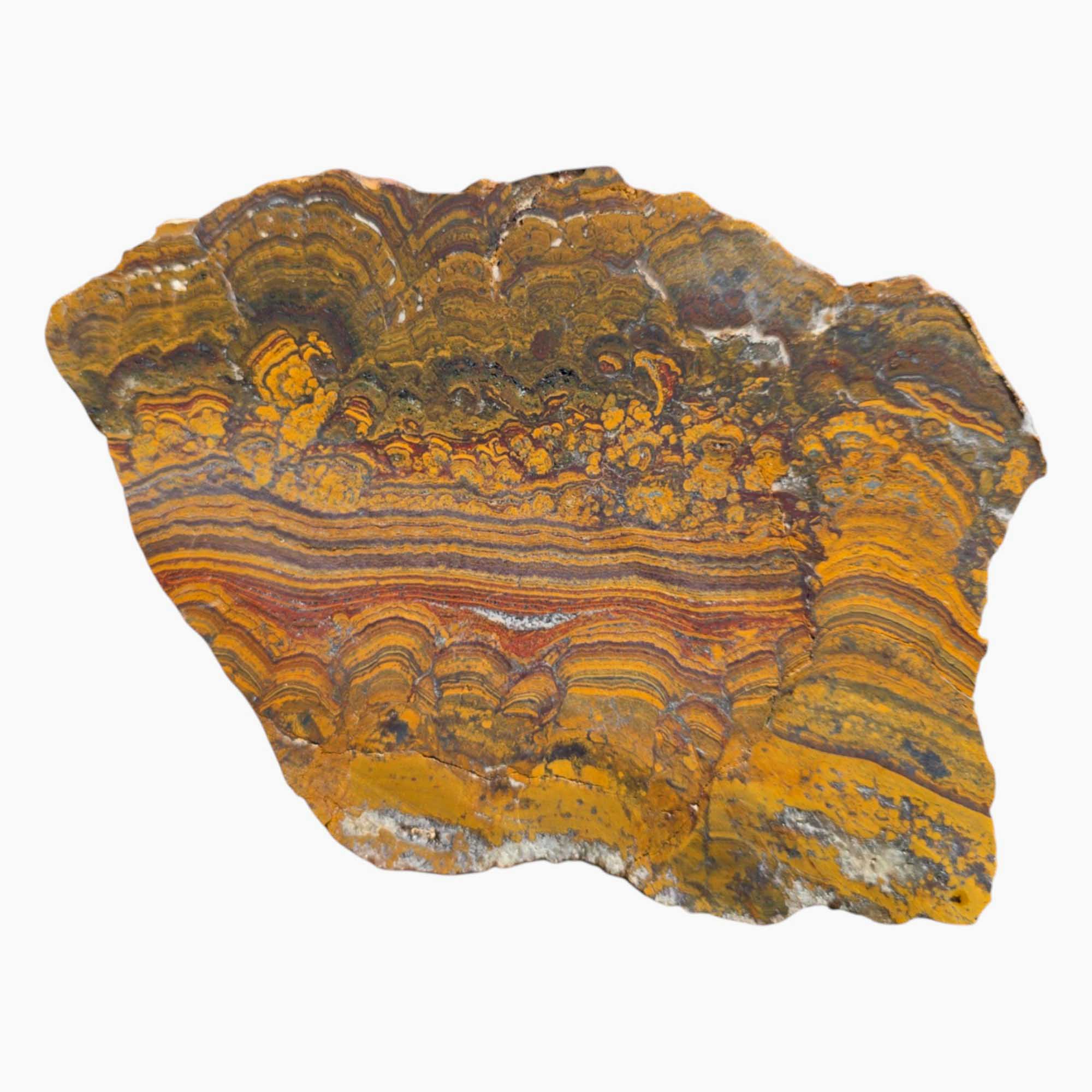 Large Apple Valley Jasper Slab – Red Brushstrokes & Hematite Flowers