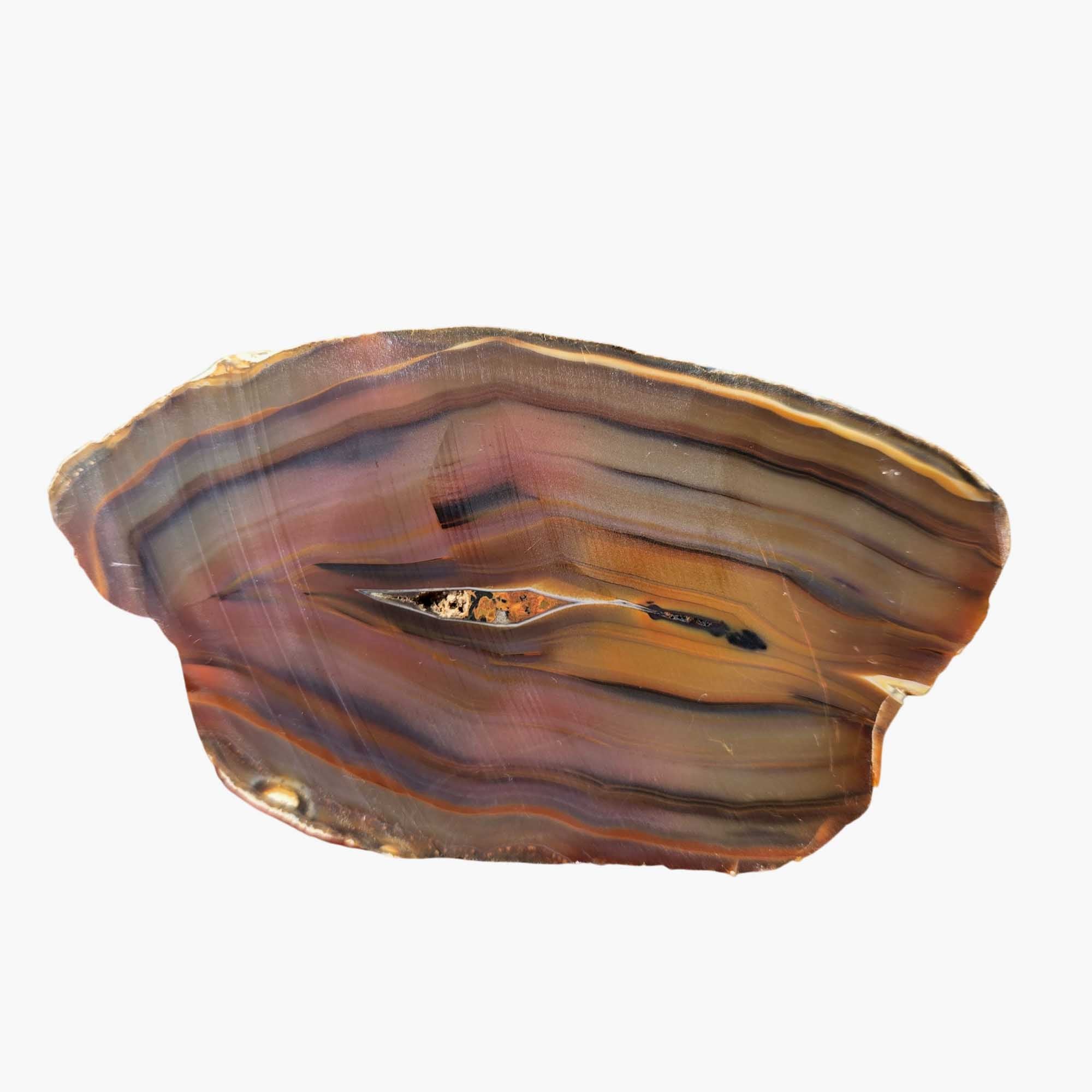 Brazilian Agate Slab Dry – Transparent Piranha Colors Red Orange Natural #3663-Photo5