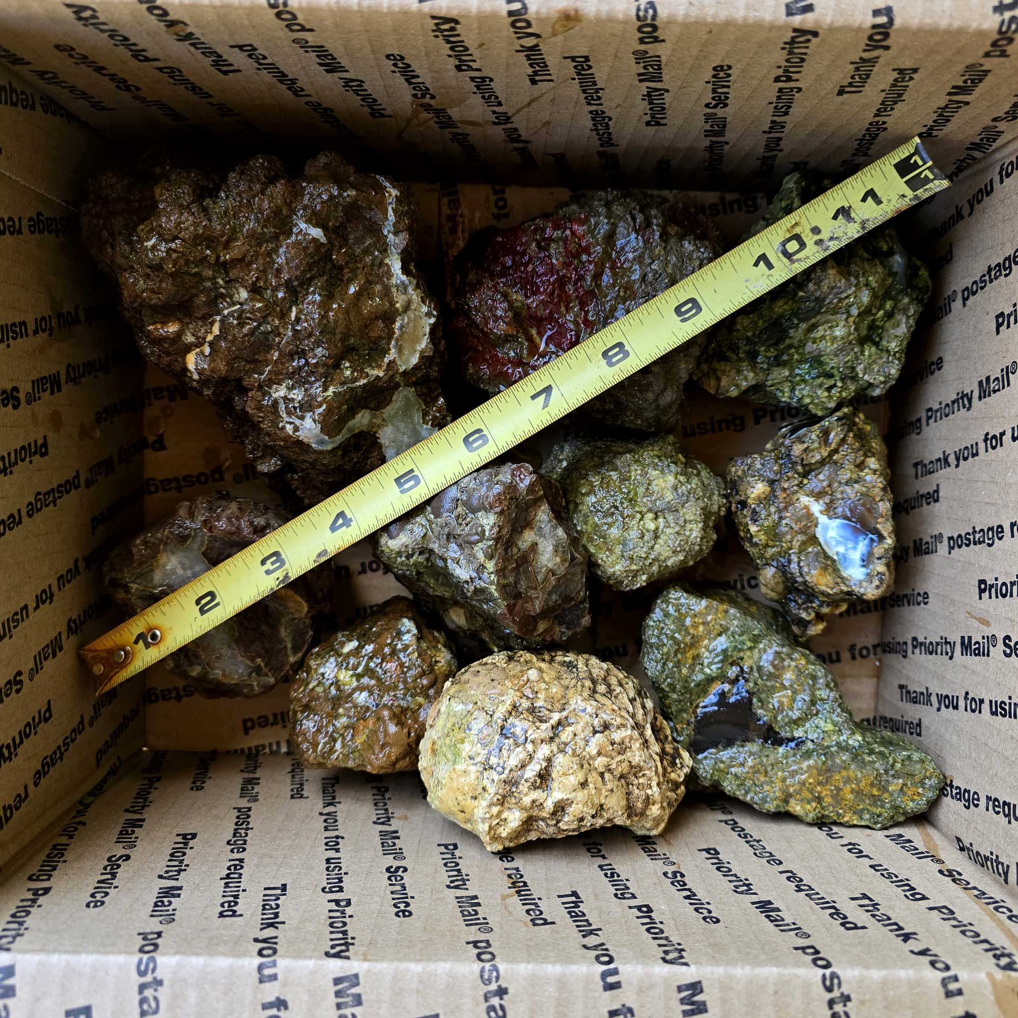 Old Stock Oregon Thunderegg Cutting Rough Flatrate Slicing Stones Rock Box