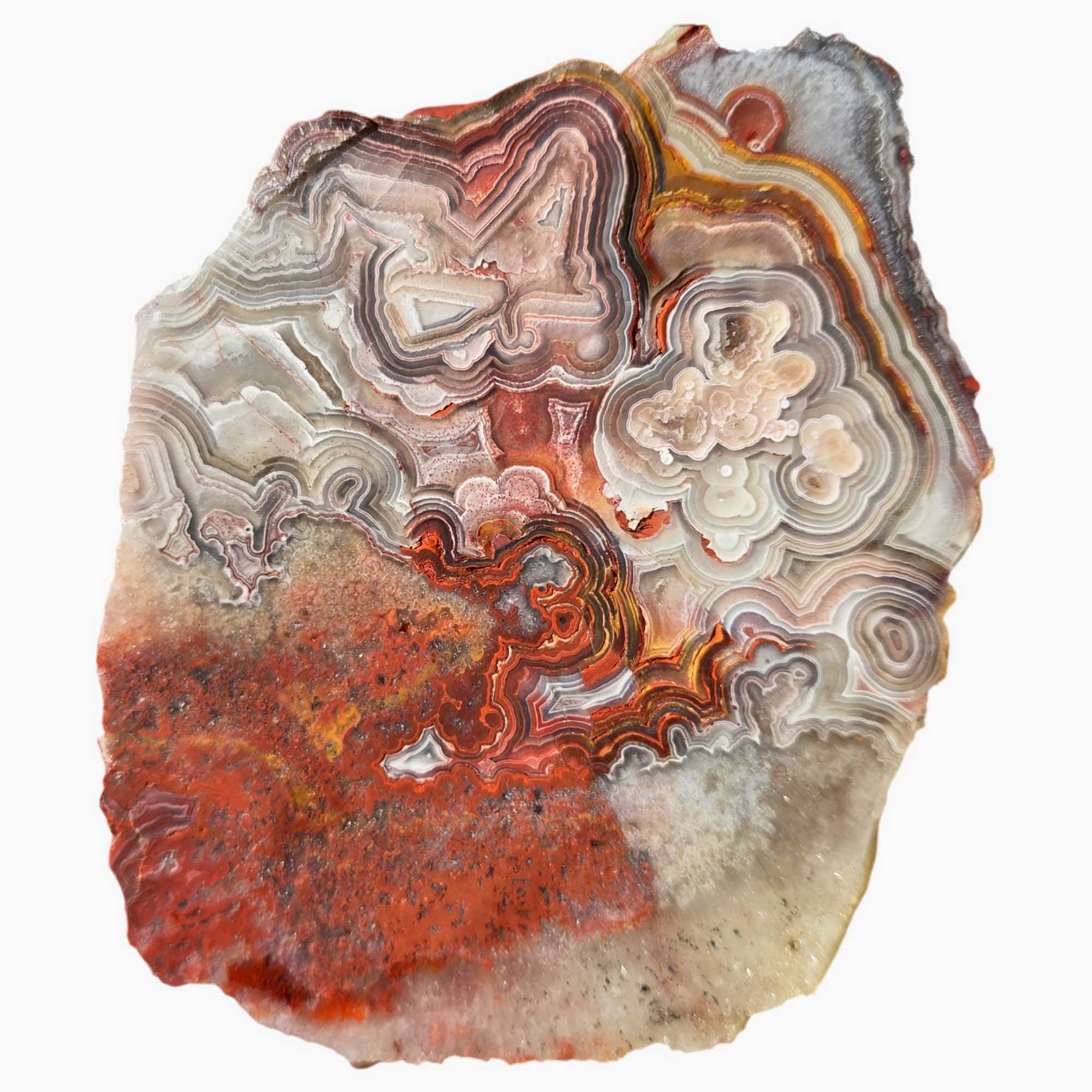 Crazy Lace Agate Slab Red Orbicular Banding and Laguna-Style Pattern