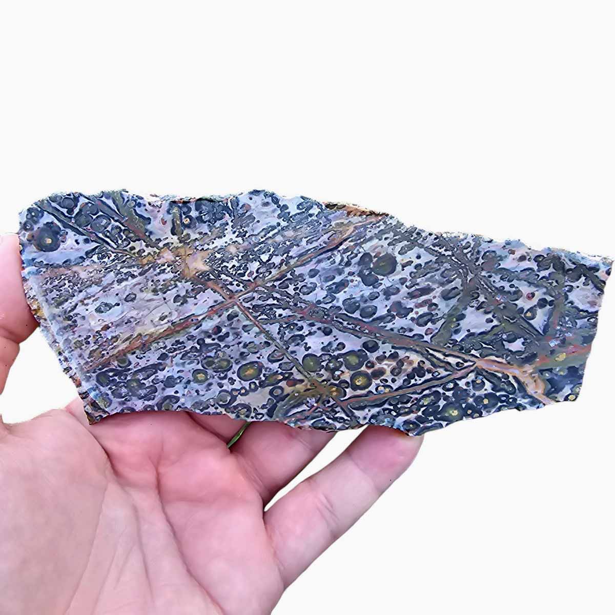 Leopard Skin Rhyolite Slab  Lapidary Stone Slab