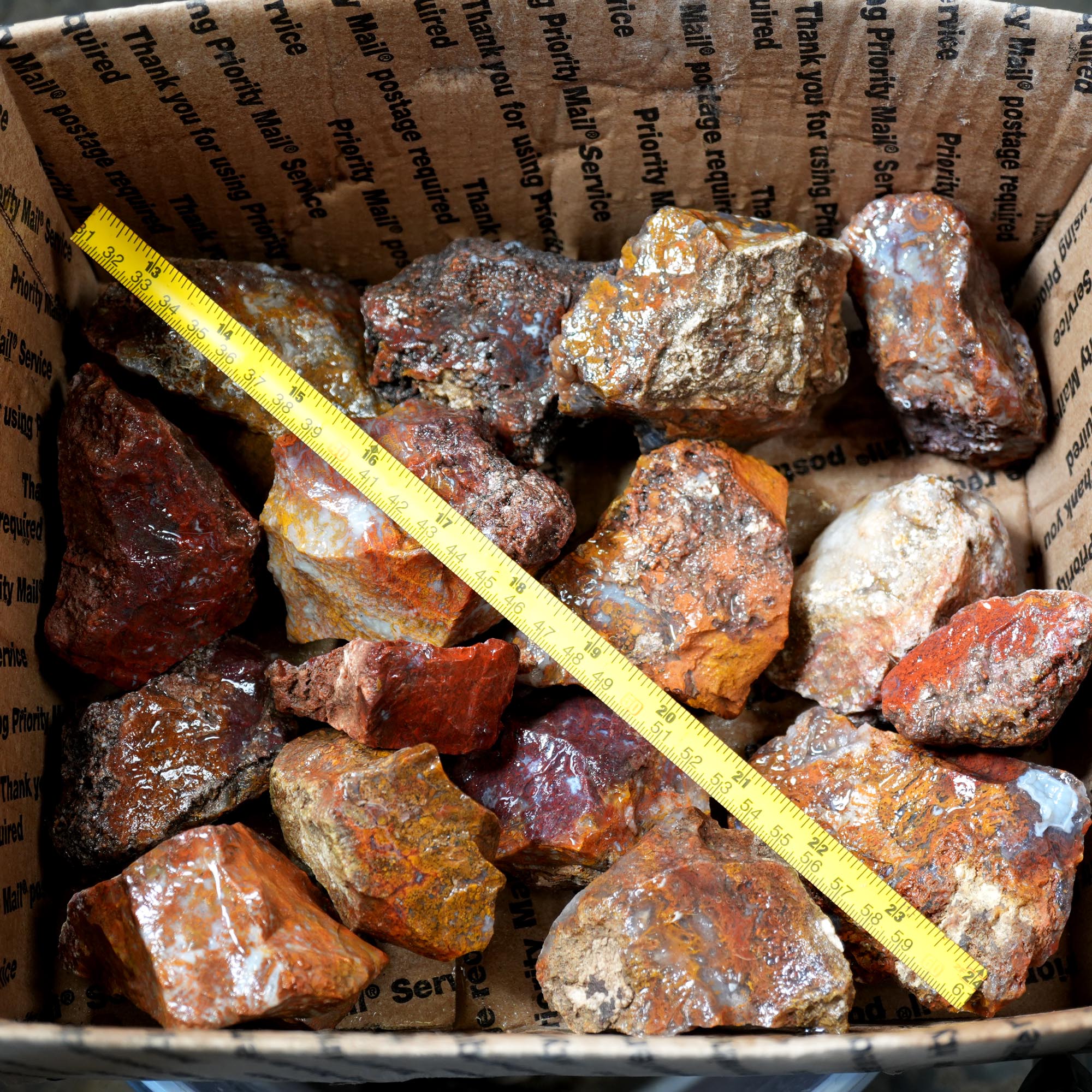 San Carlos Agate Rough Flatrate - 24 lb Mixed Cutter Box