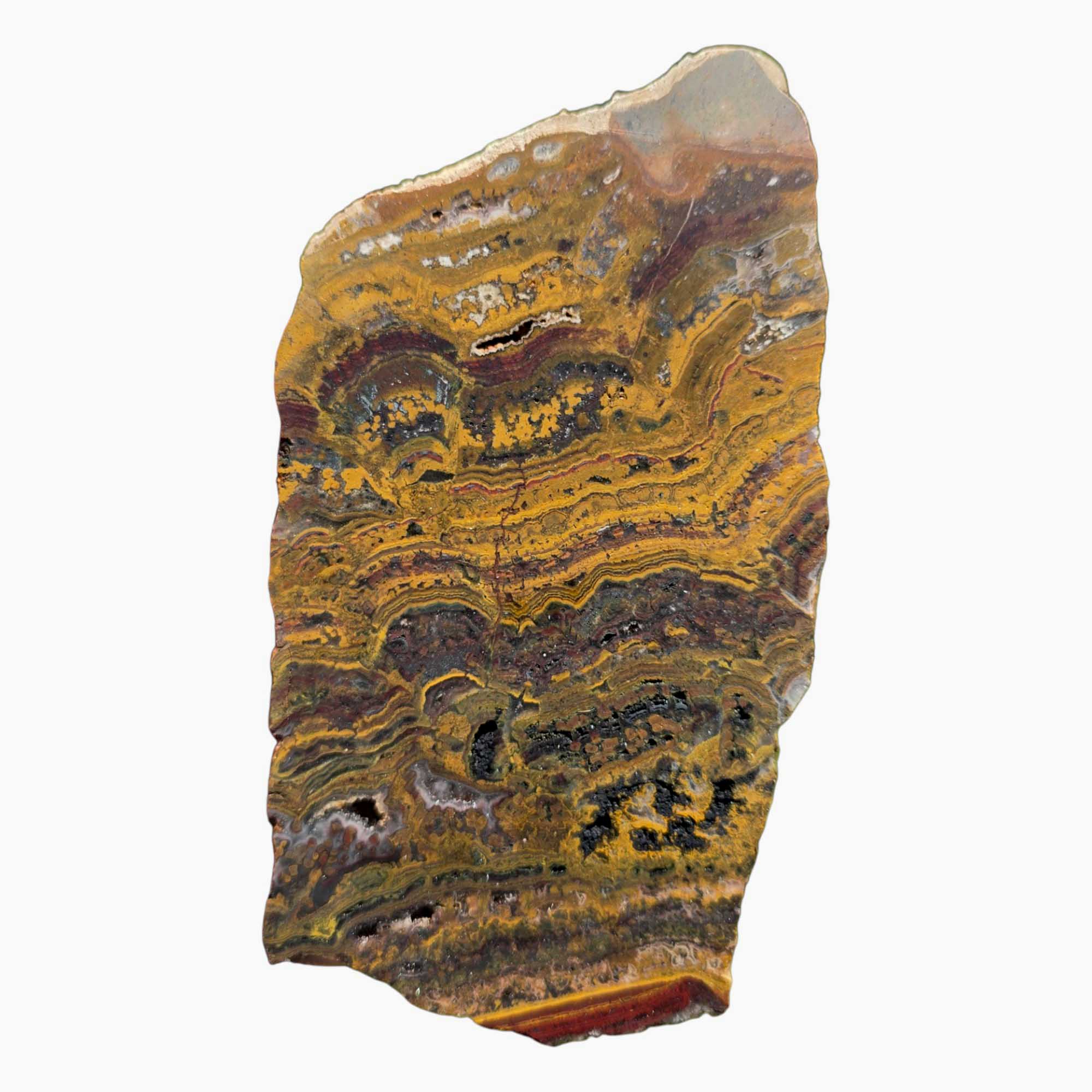 Apple Valley Jasper Slab – Flowing Stromatolite with Sparkling Quartz