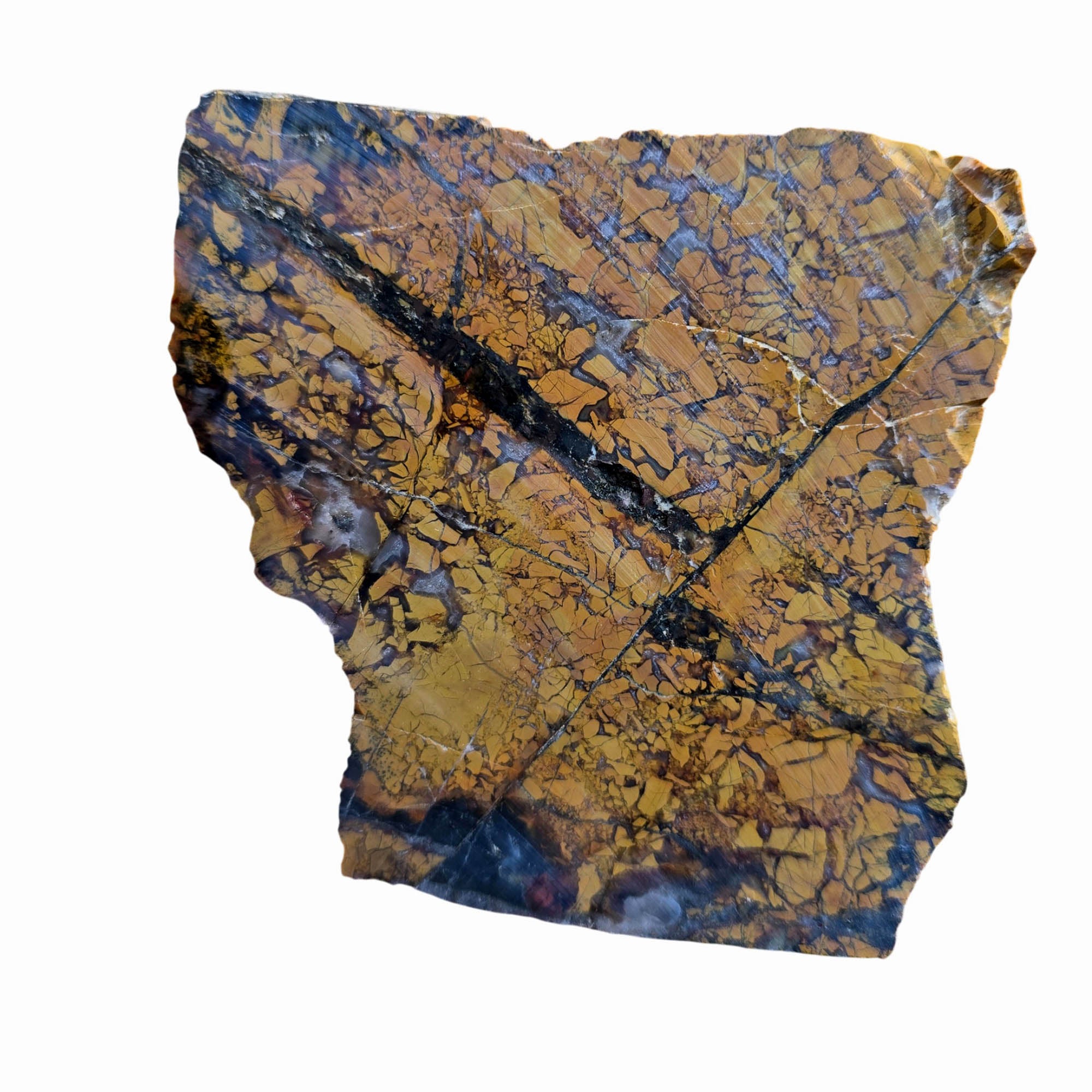 Stone Canyon Jasper Slab Dry – Well-Defined Brecciation Natural Flaws #3791-Photo6