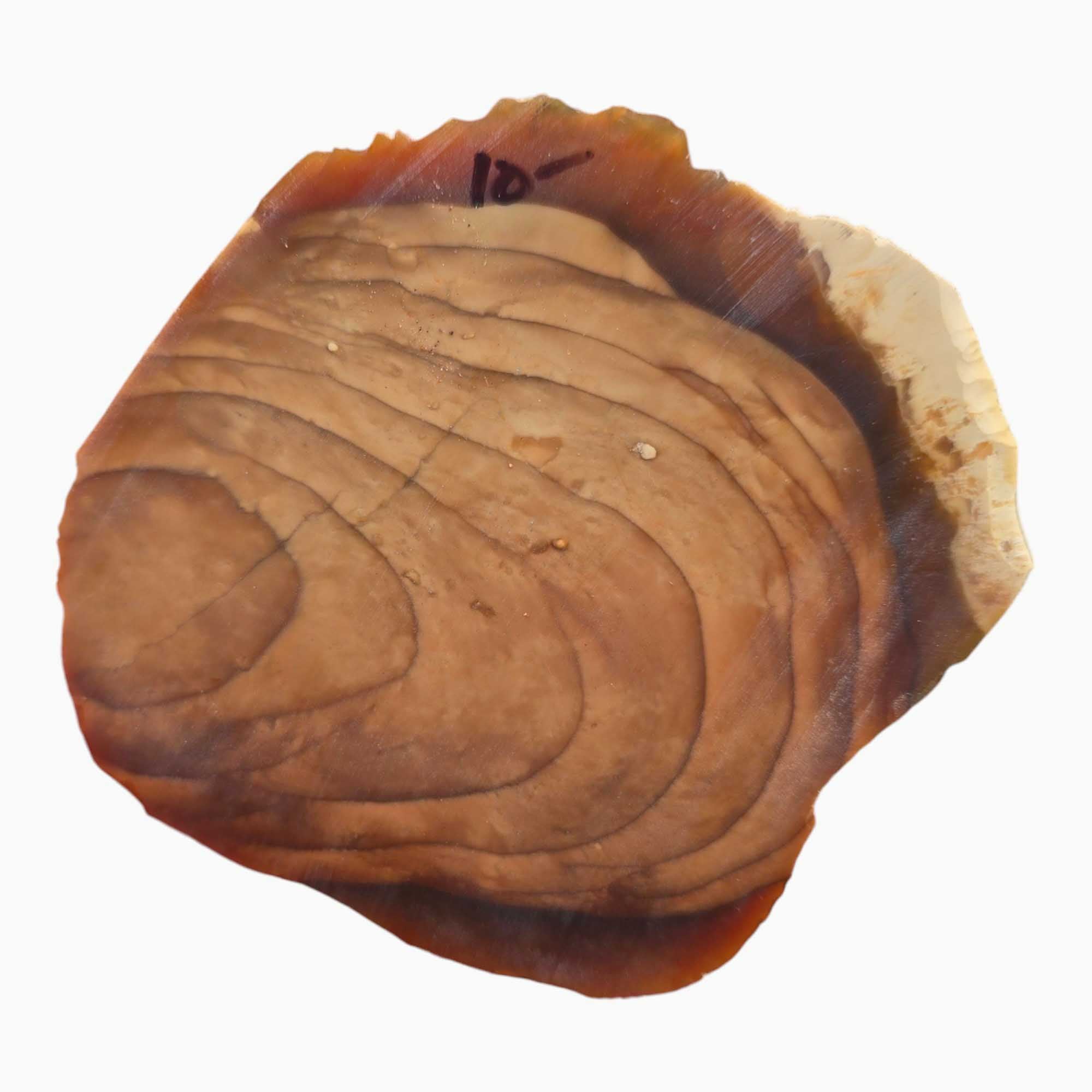 Bruneau Jasper Slab – Old Stock with Domed Face for Polishing or Display