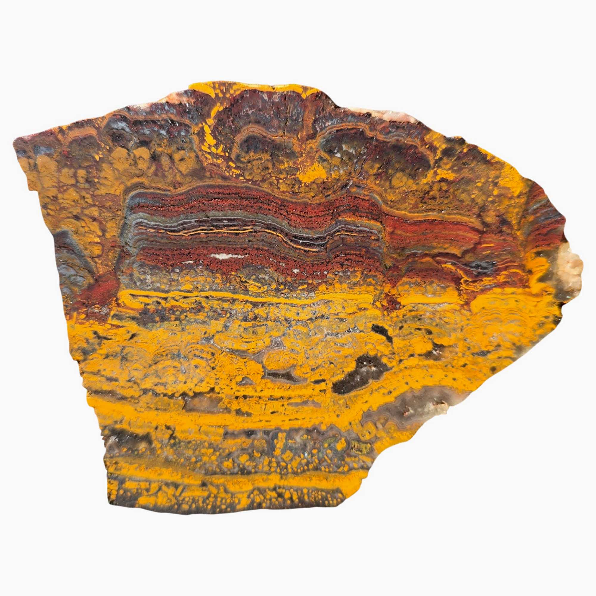 Apple Valley Jasper Slab – Wavy Red Oolitic Hematite Flowers – Sahara