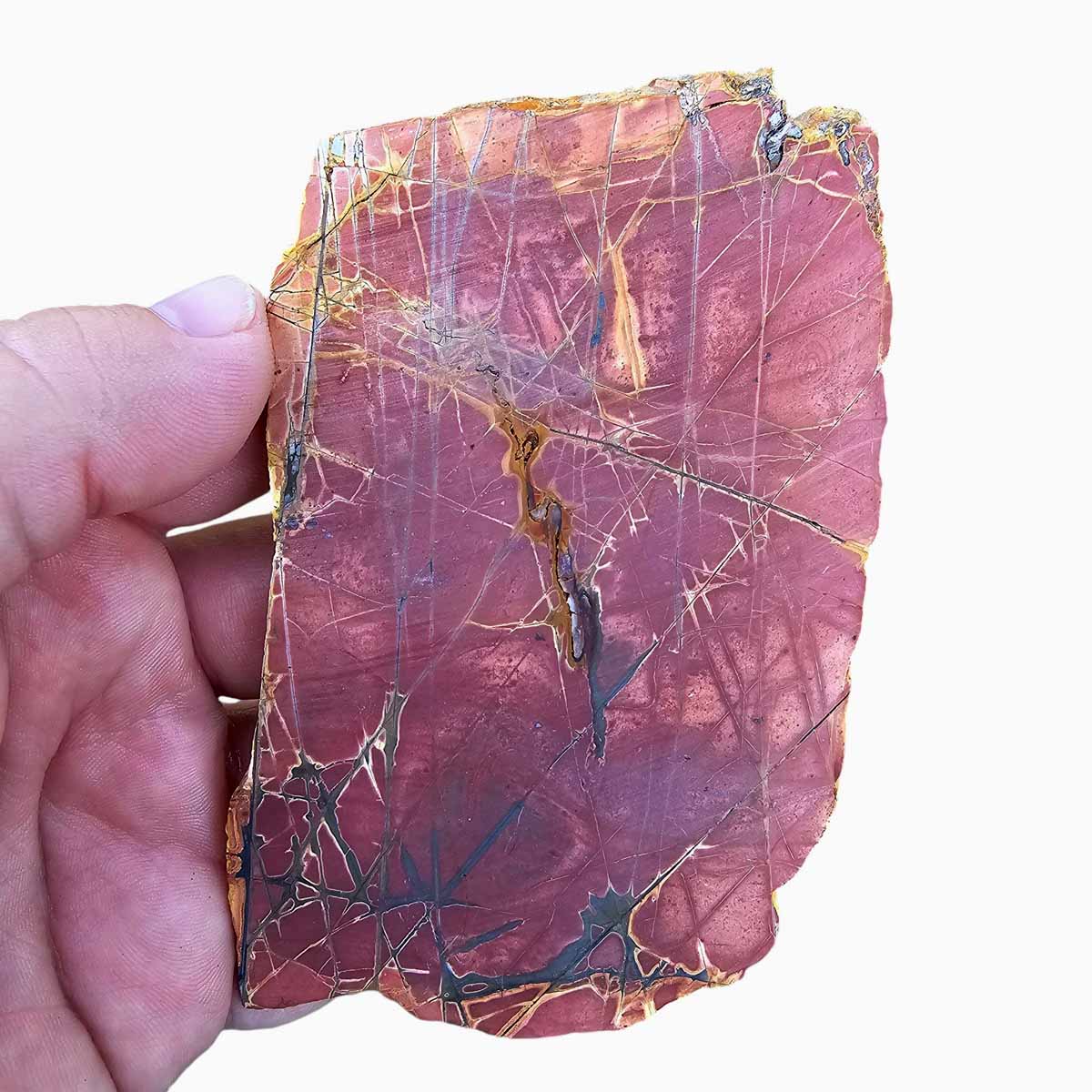 Cherry Creek Jasper Slab  Lapidary Stone Slab