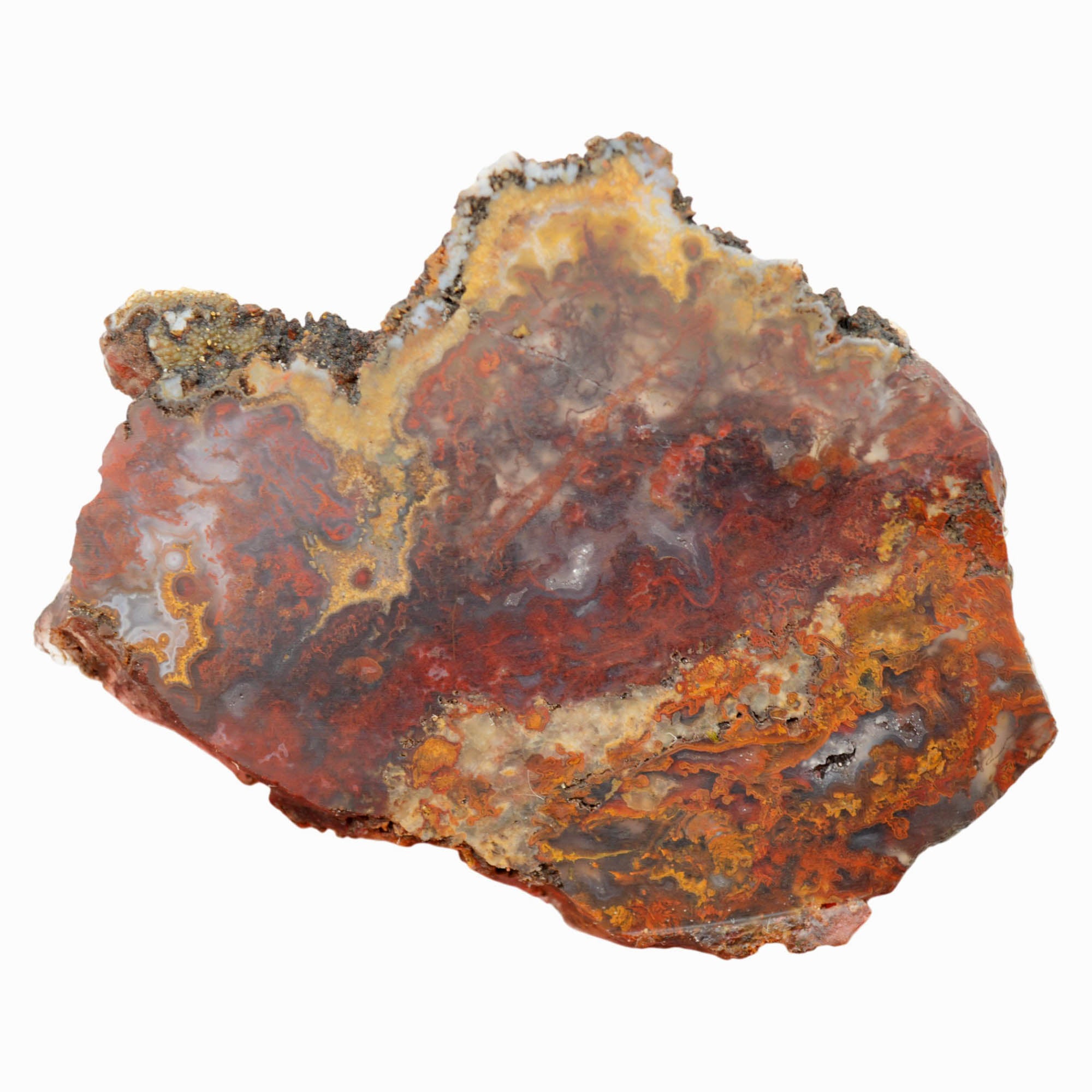 San Carlos Agate Slab Dry - Red Moss Blue Agate Mexican Druzy #4024-Photo6