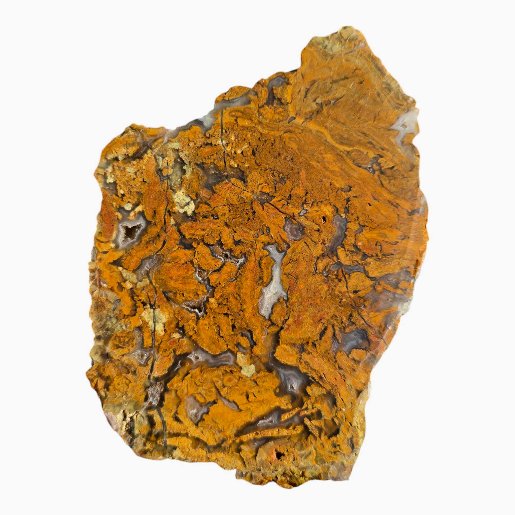 Mystery Brecciated Jasper Slab Lapidary Stone Slice Cut Rock