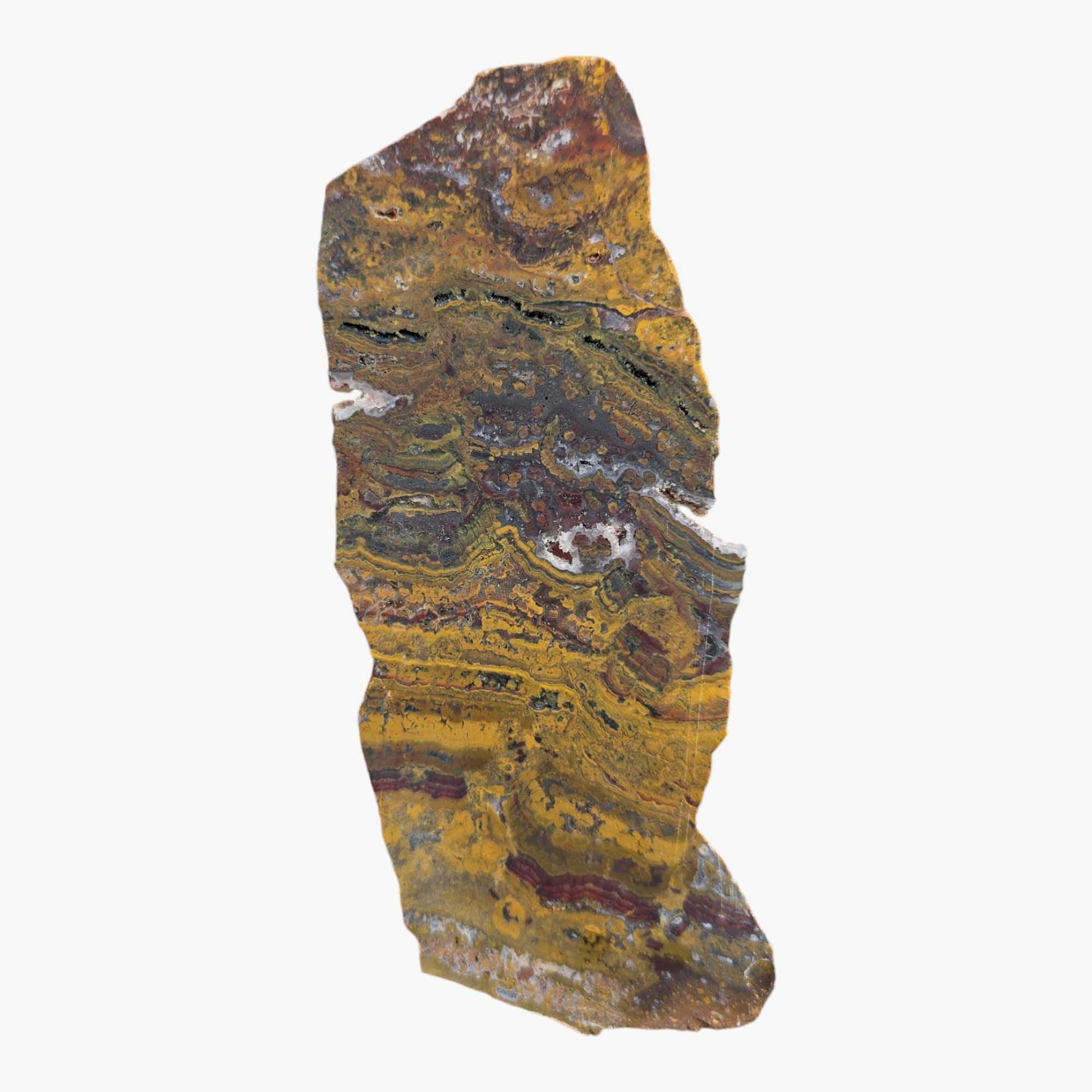 Apple Valley Jasper – Fossil Stromatolite from Morocco’s Sahara Desert
