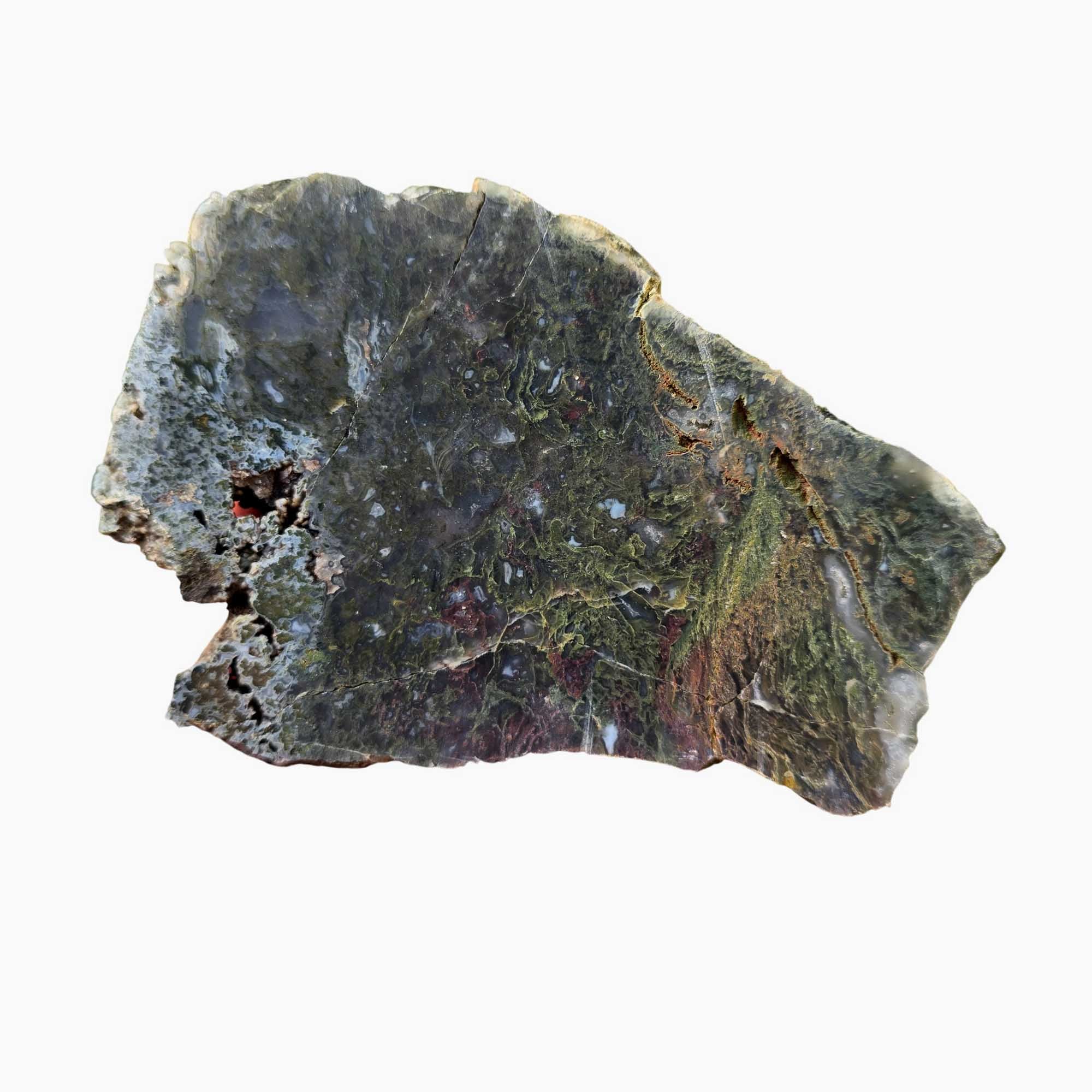 Maury Mountain Moss Agate Slab Dry Green Red Moss Oregon Classic #3659-Photo5