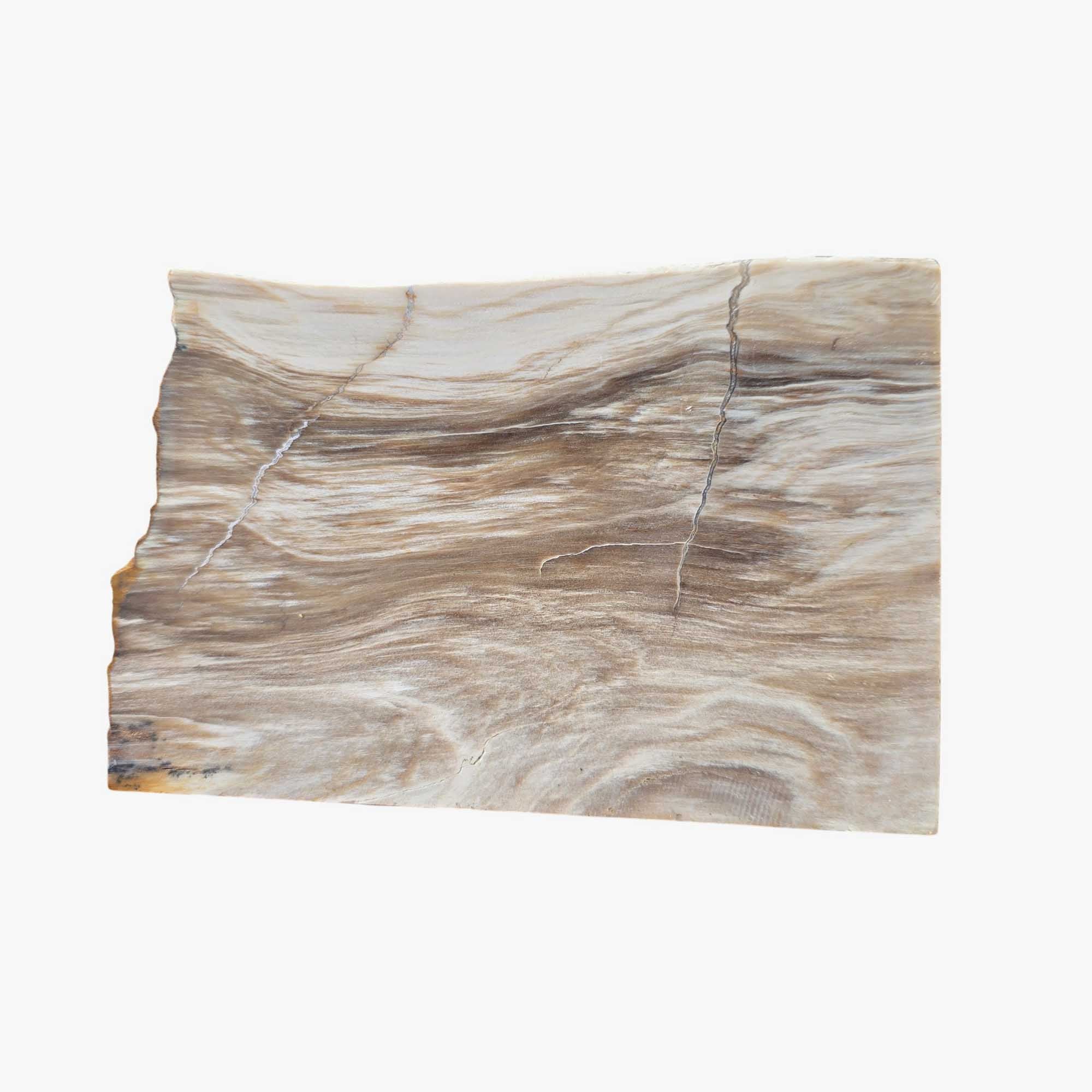 Mystery Petrified Wood Slab Dry – Wispy White Caramel Agate Lightning #3661-4
