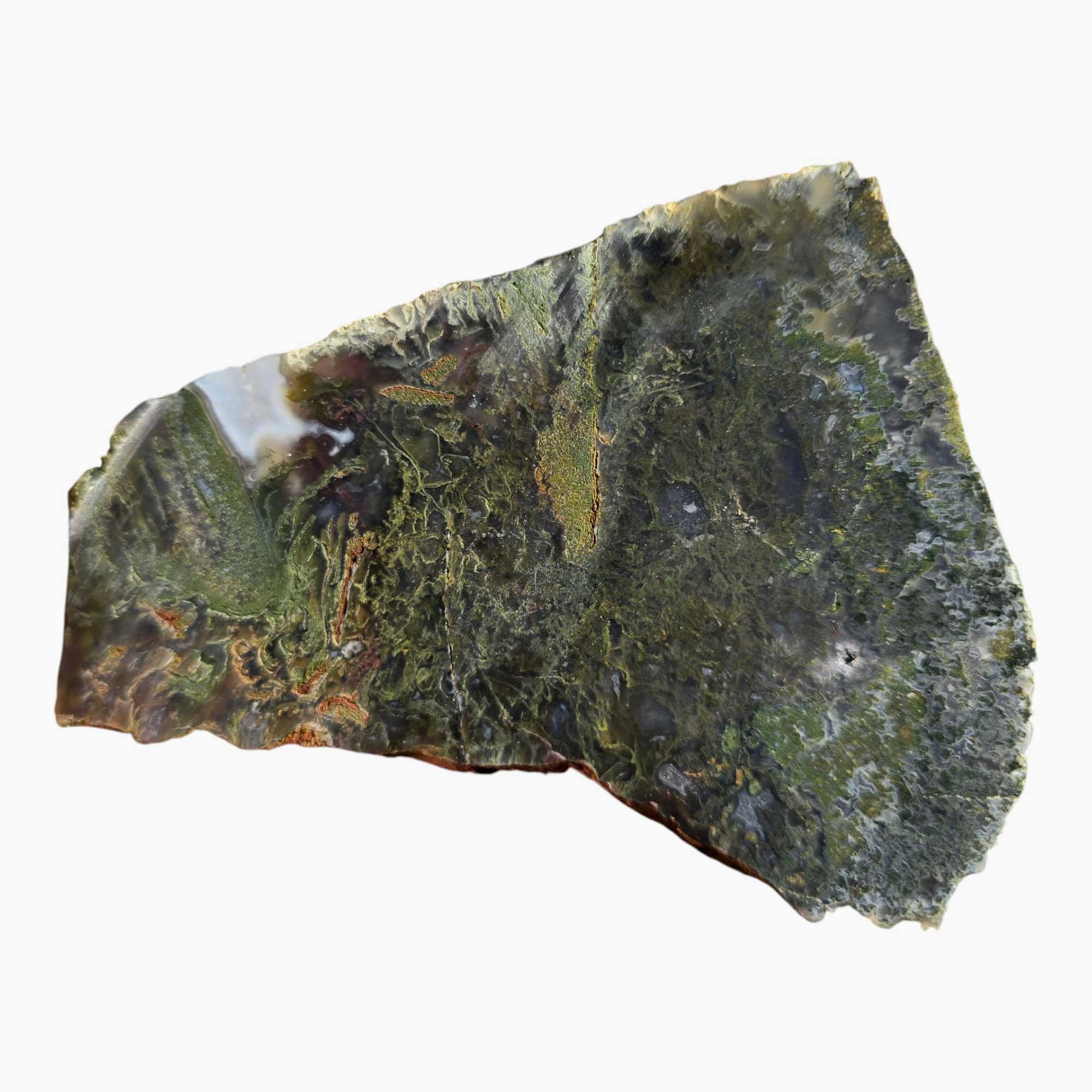 Maury Mountain Moss Agate Slab Lapidary Stone Slice Cut Rock