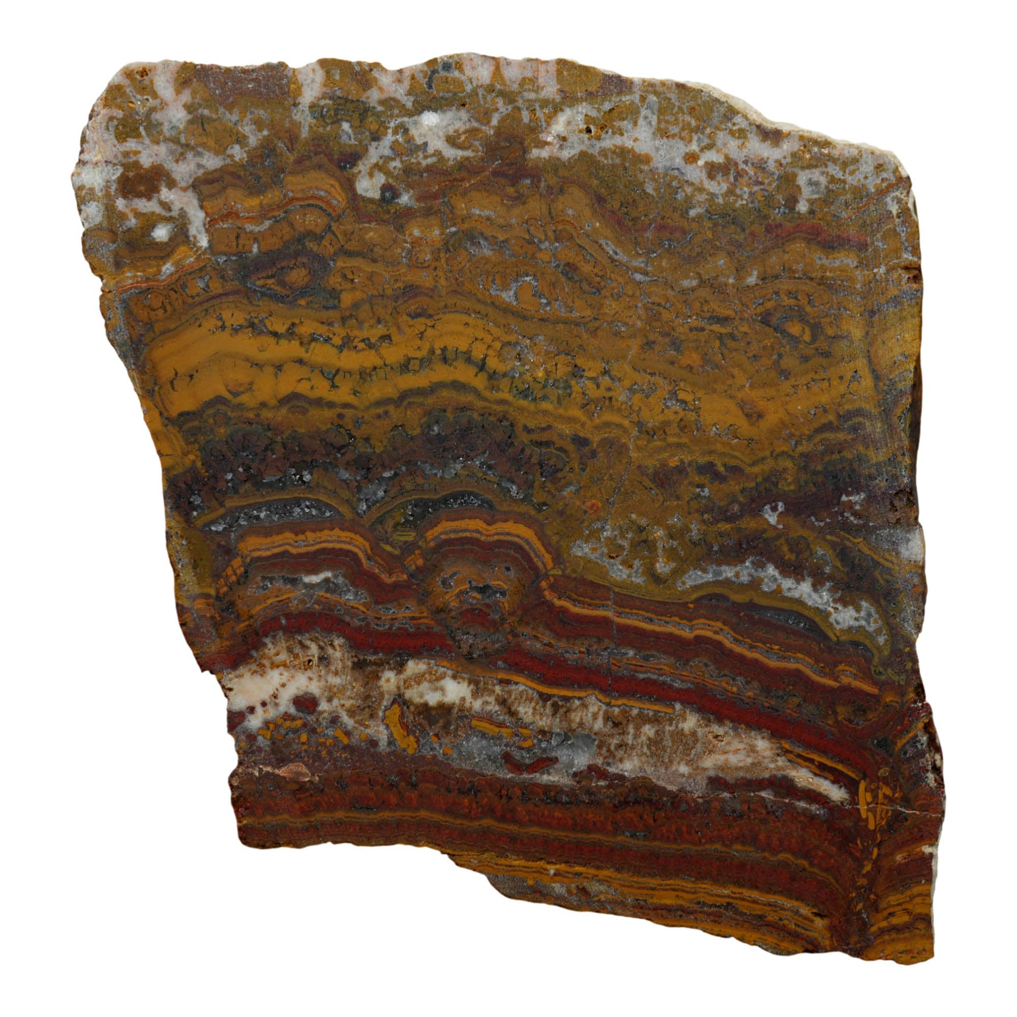 Apple Valley Jasper Slab Dry – Flowing Hematite Flowers Oolitic Stromatolite #3908-Photo5