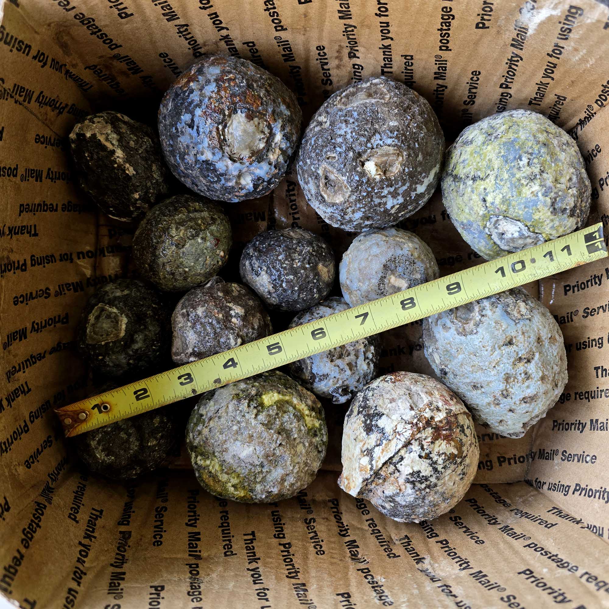 Solid Coconut Geode Flatrate Box Rough Stones Blue Agate and Quartz Interiors