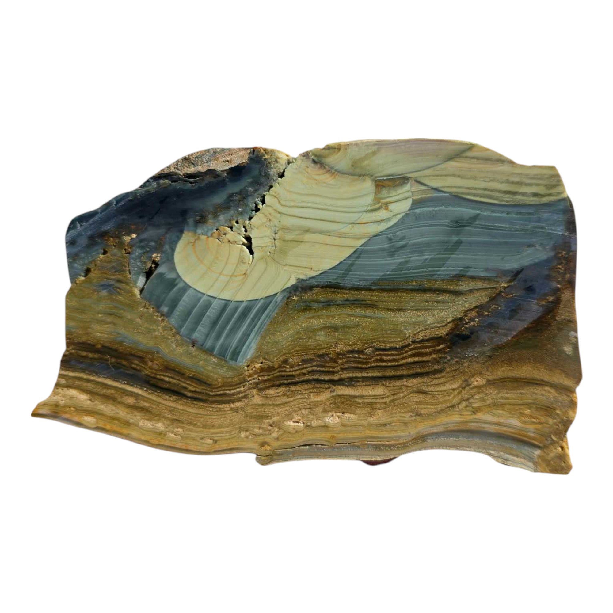  BLIND MANS BUFF ジャスパー 陶板 プラーク Blue Mountain Jasper Slab – Brush Stroke Patterns with Half Orbs from