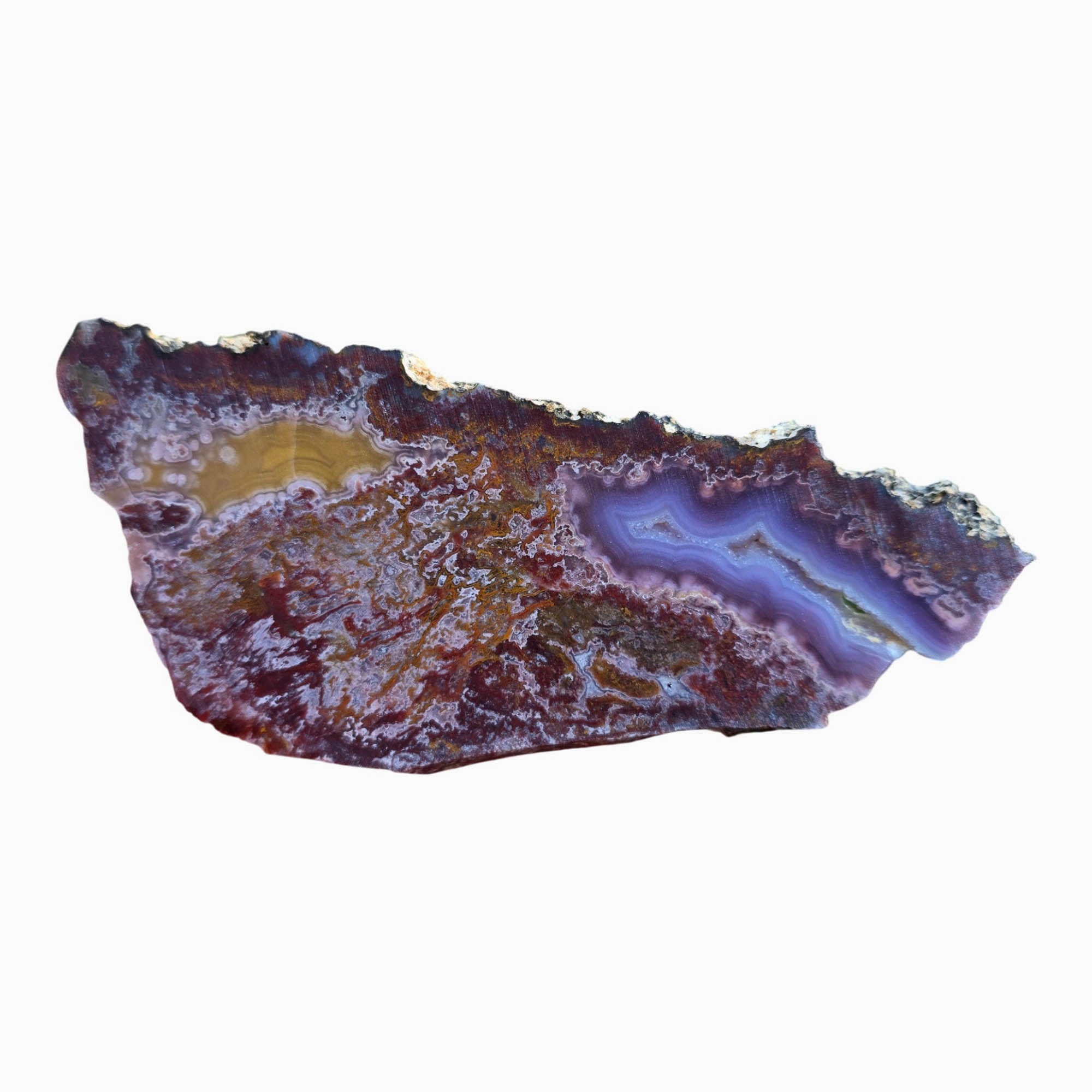 Agua Nueva Agate Slab Dry - Purple Fortification Druzy Gold Accent #3795-Photo6