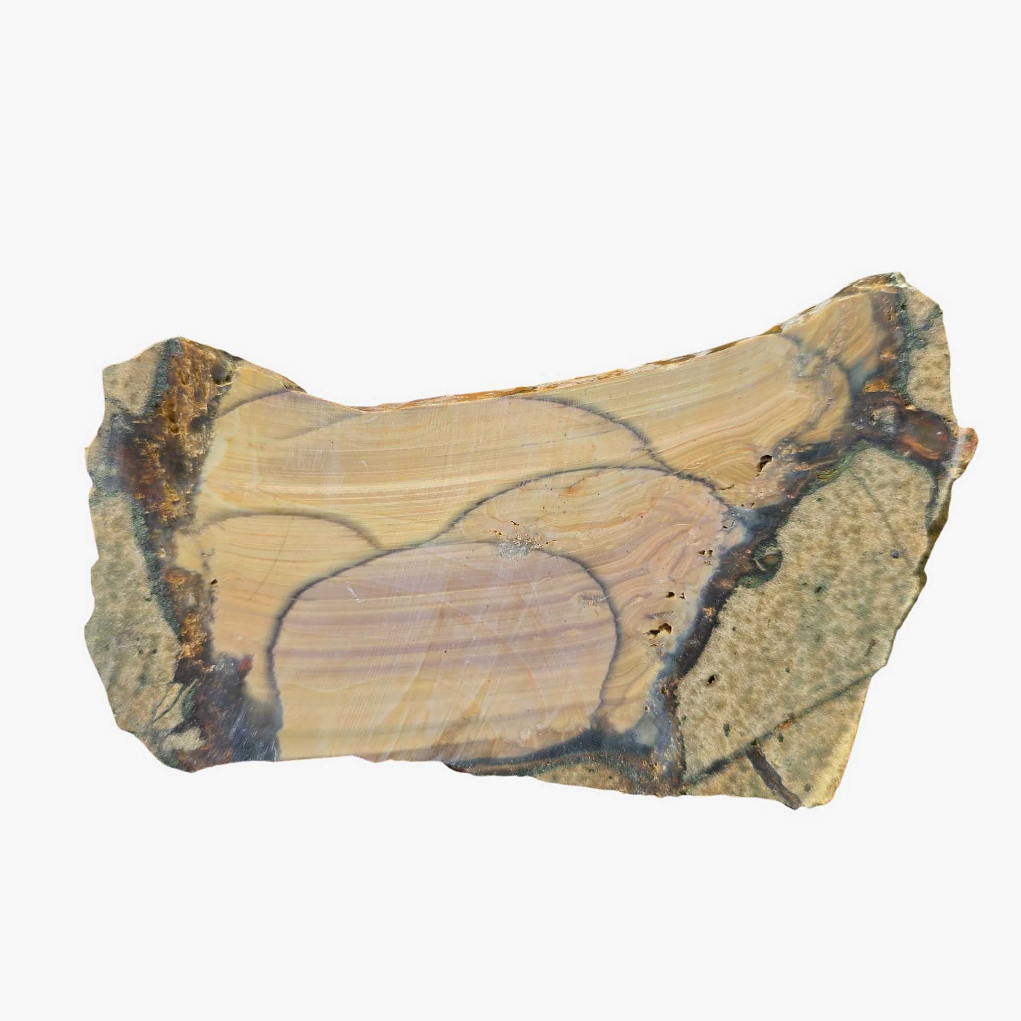 Blue Mountain Jasper Slab - Bubbly Orb Pattern - Oregon